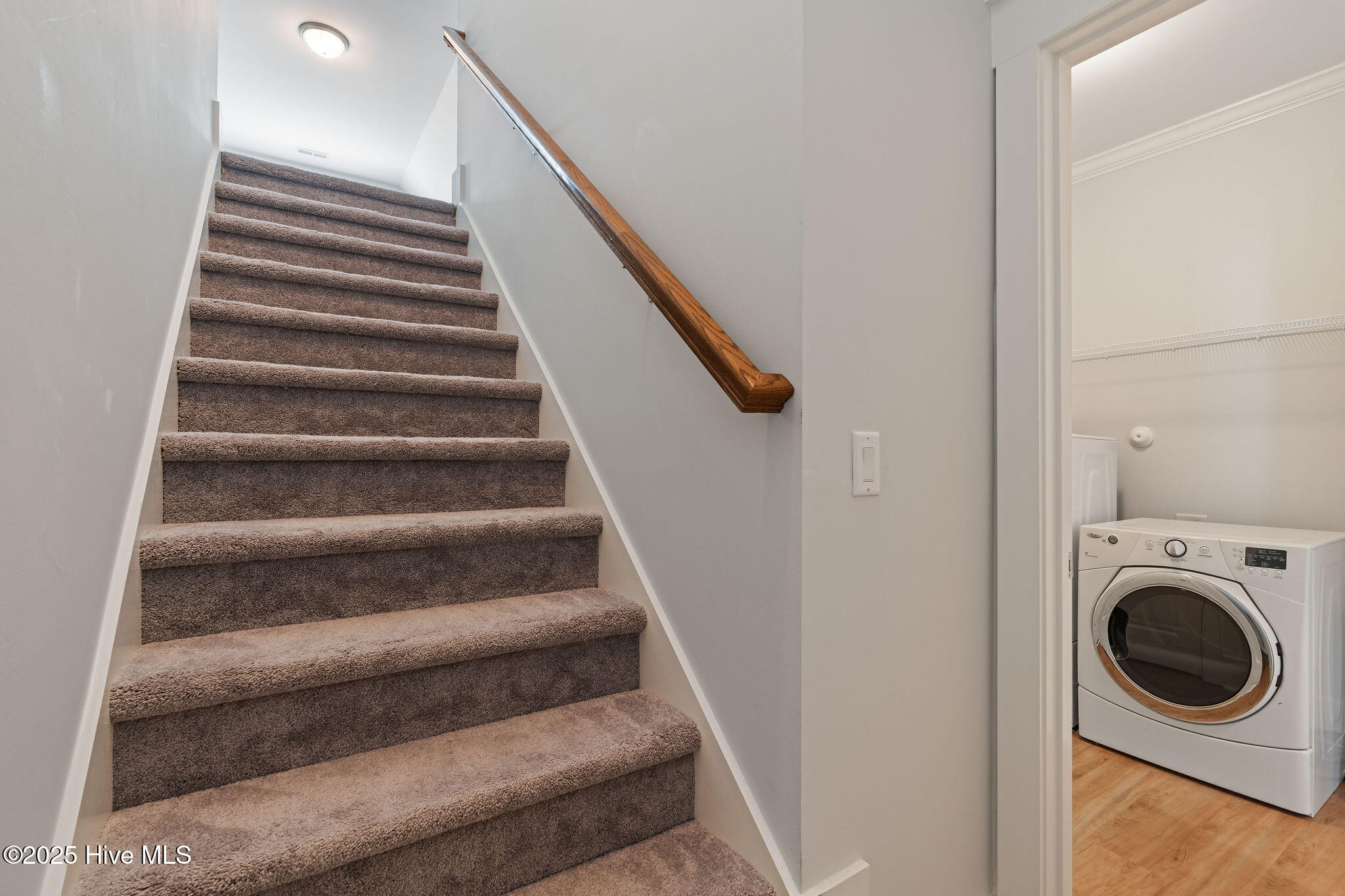 100523892 | Photo 44