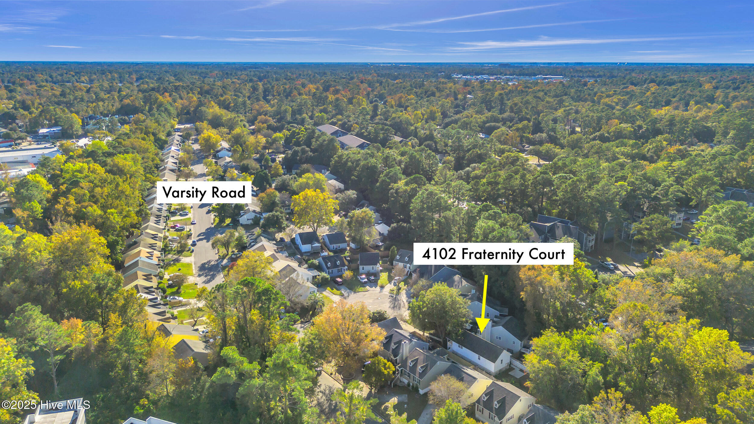 100540168 | Photo 43