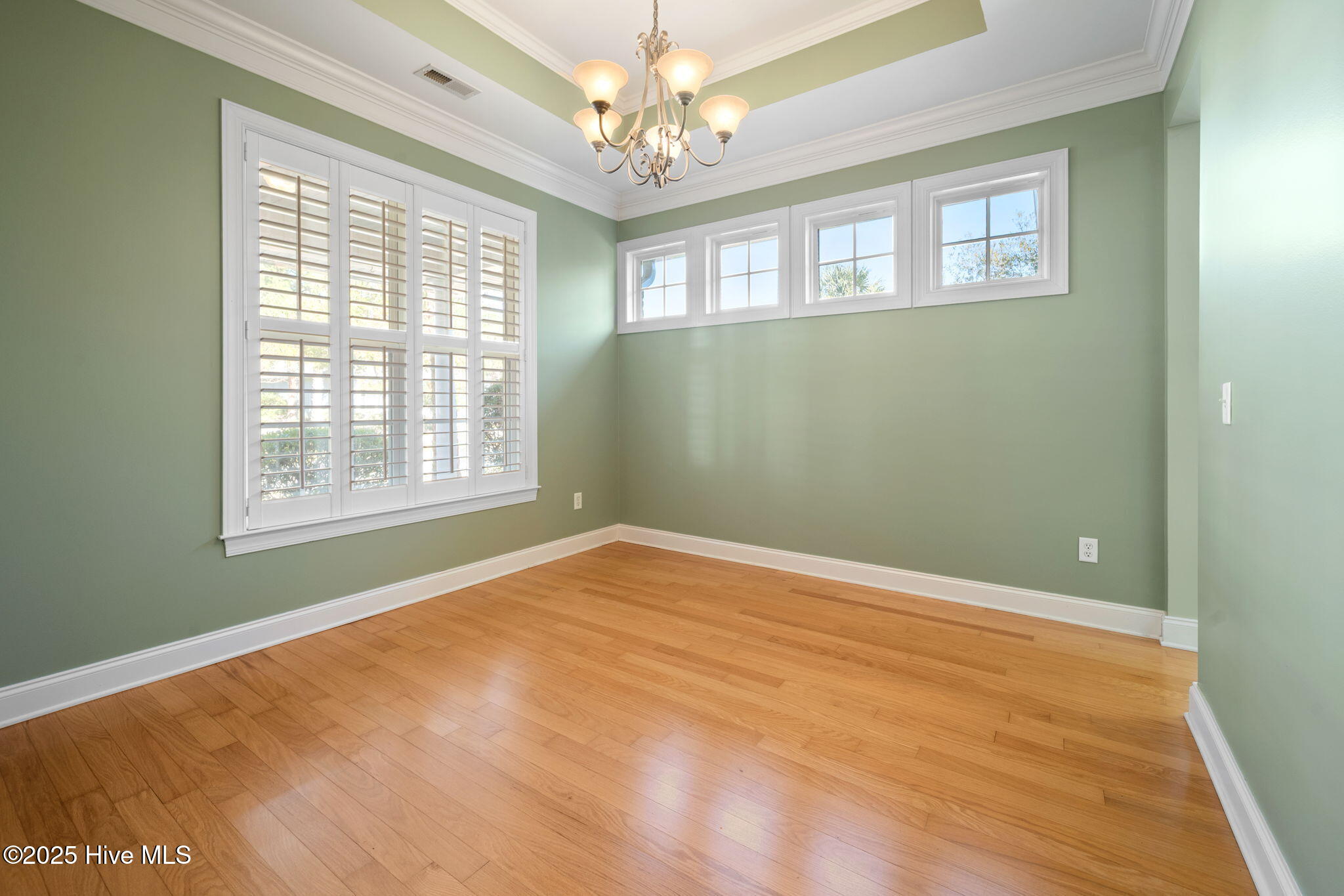 100538167 | Photo 17