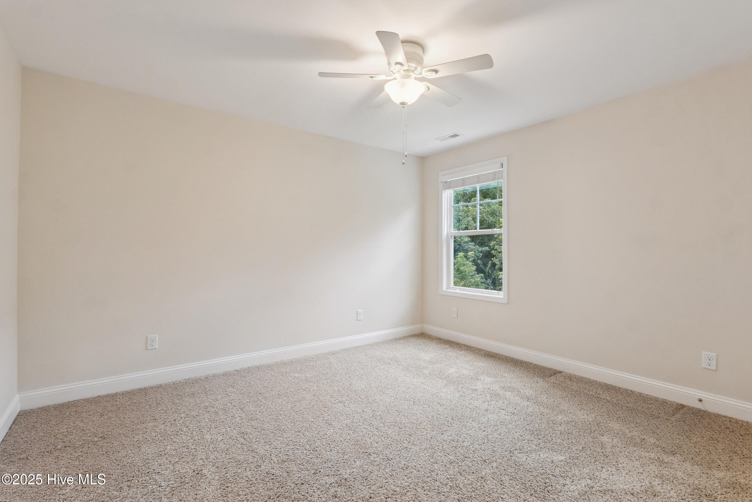 100521845 | Photo 33