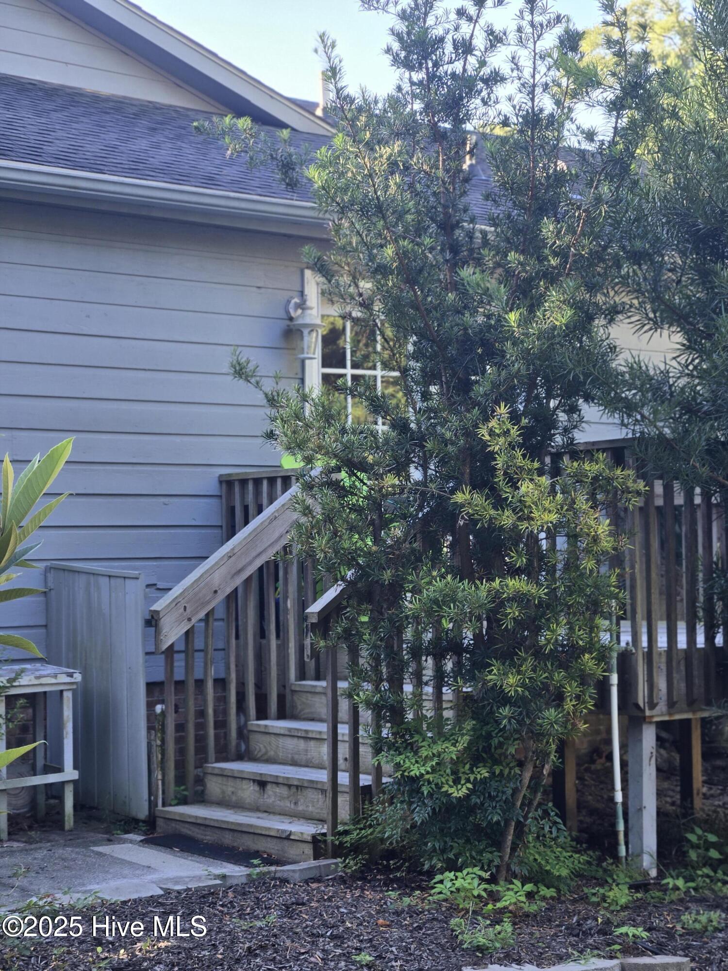 100523819 | Photo 11