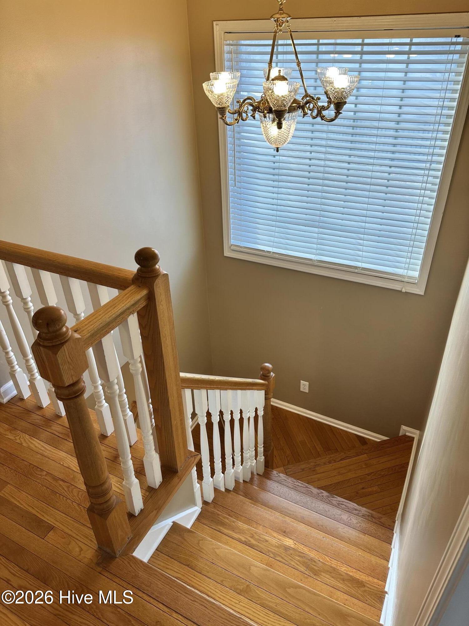 100551305 | Photo 40