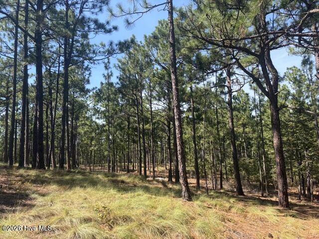 Photo 4 of Land for sale at Tbd Carthage Rd, West End, NC 27376 | MLS# 100602104 | Listing updated on 2026-09-16
