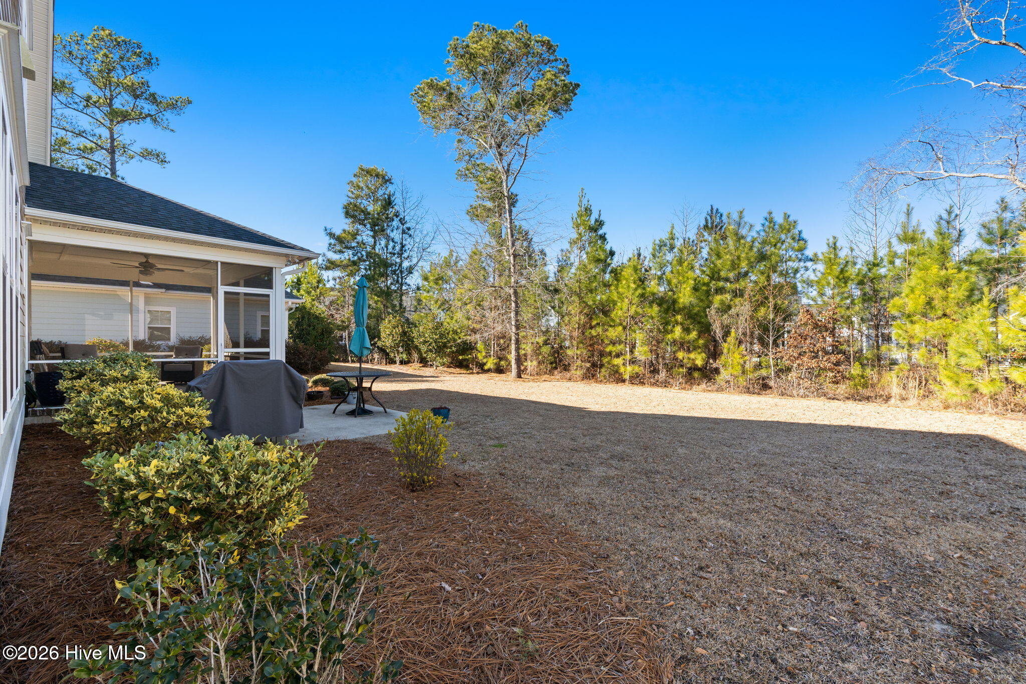 100552042 | Photo 44