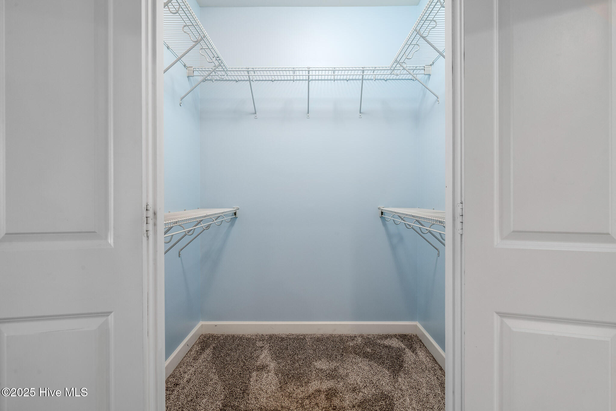 100542505 | Photo 29