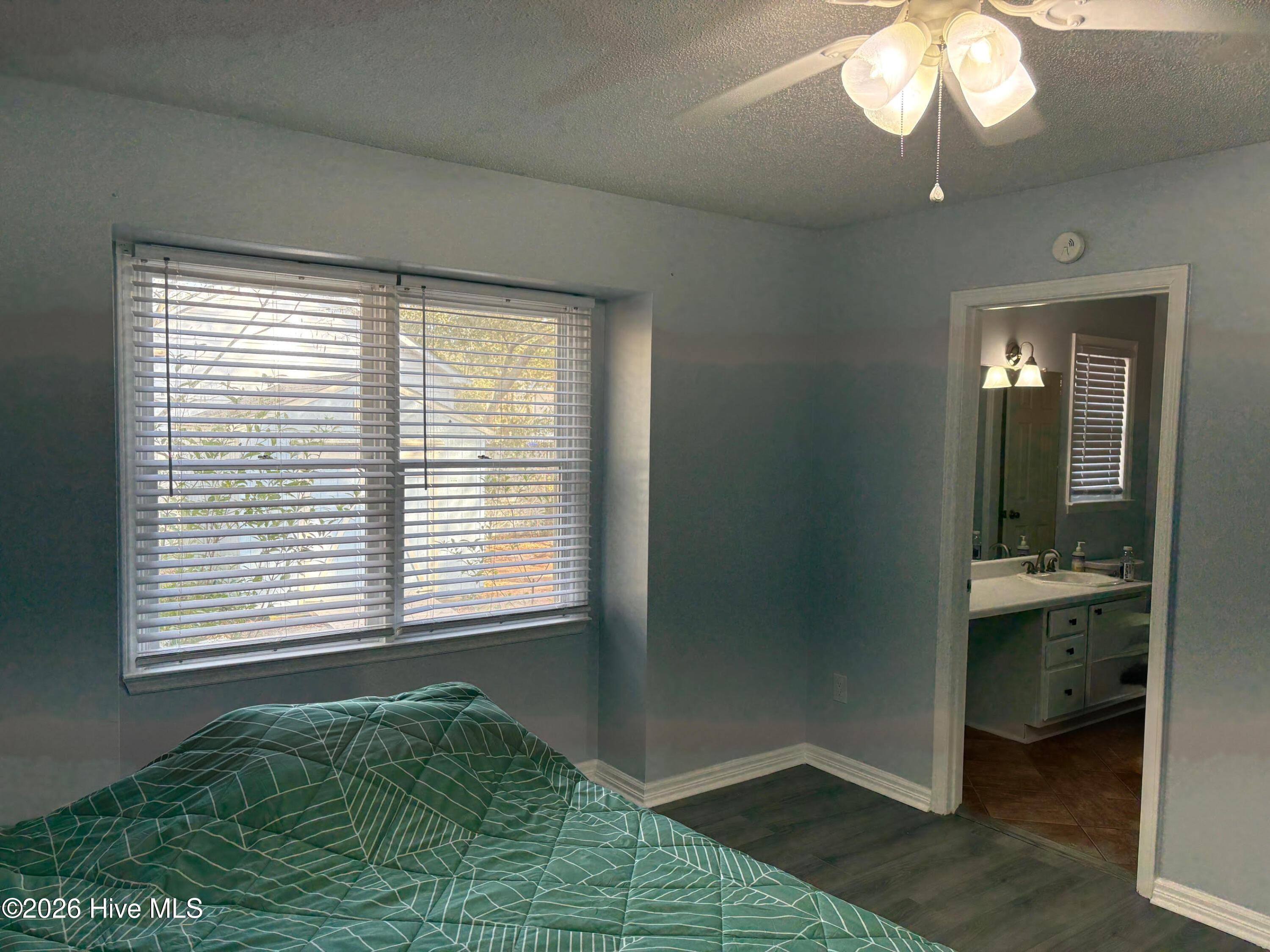 100557287 | Photo 31