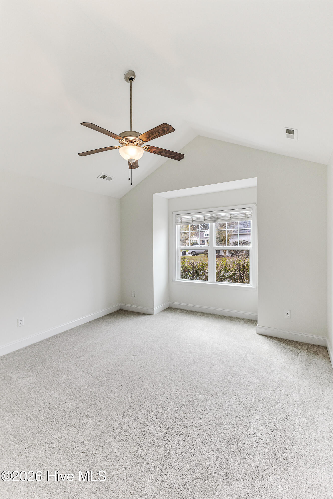 100562129 | Photo 21