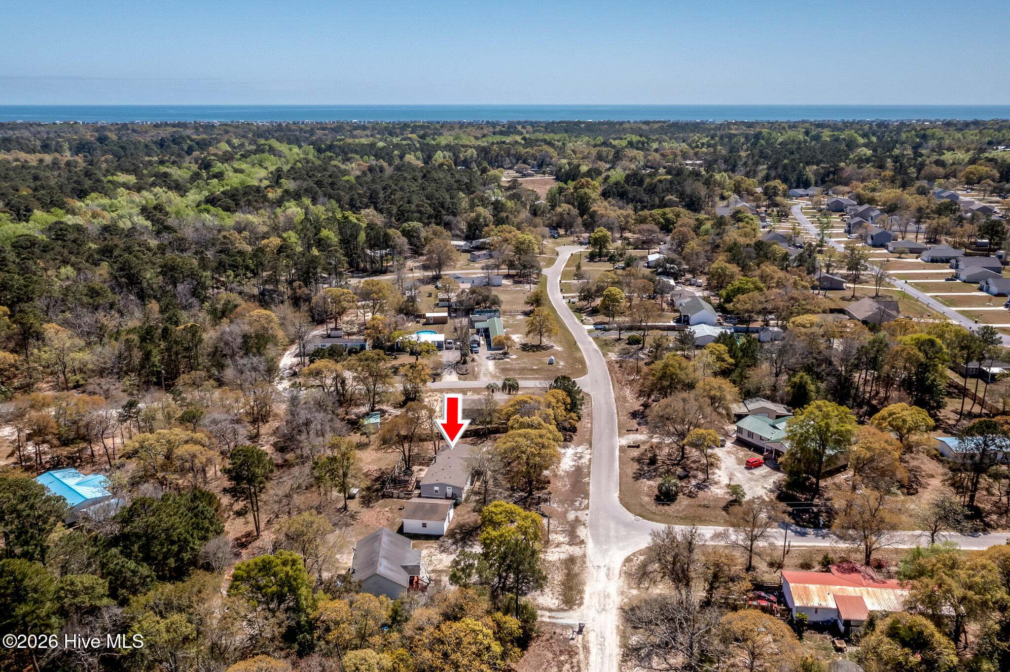 100564681 | Photo 38