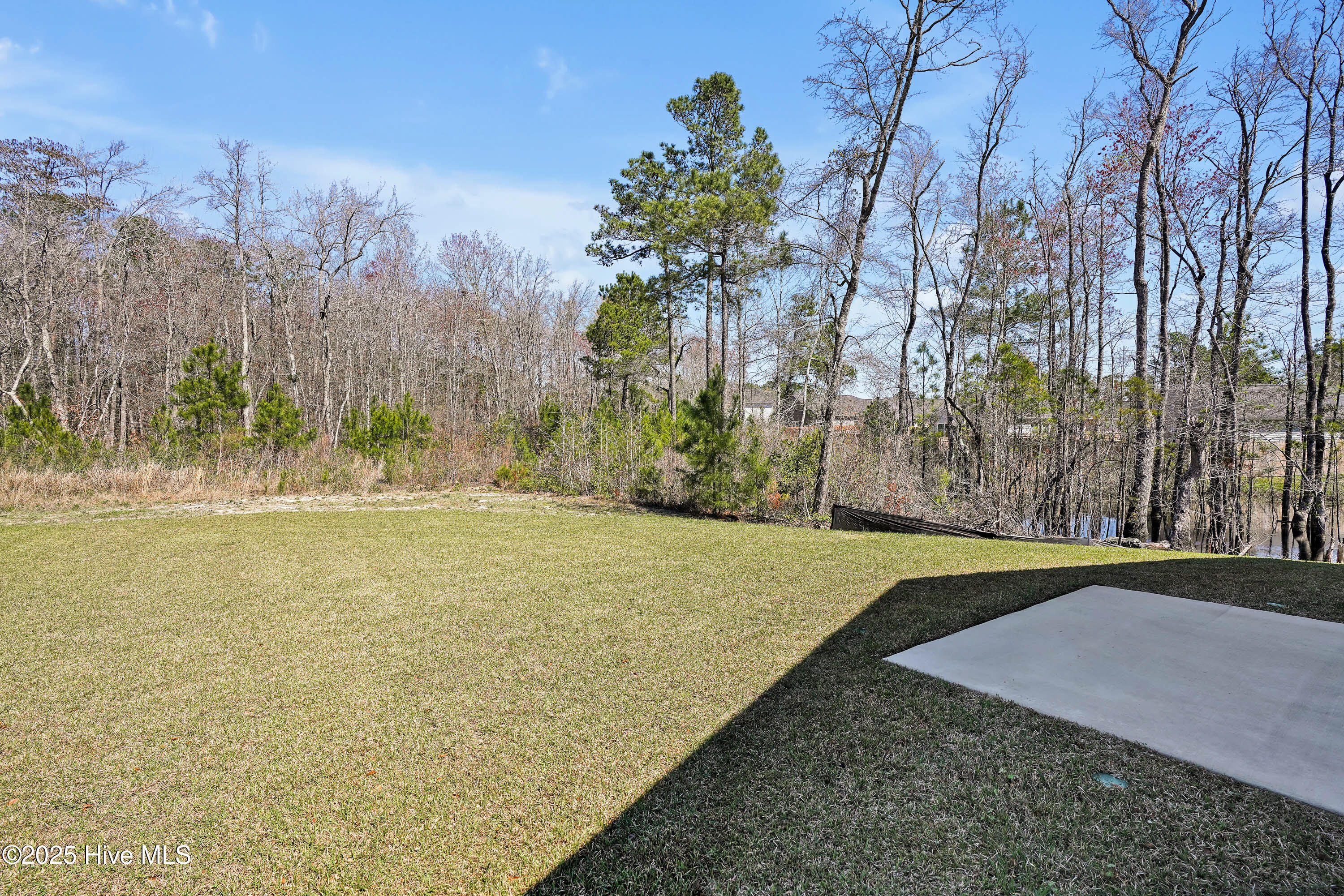 100557853 | Photo 25