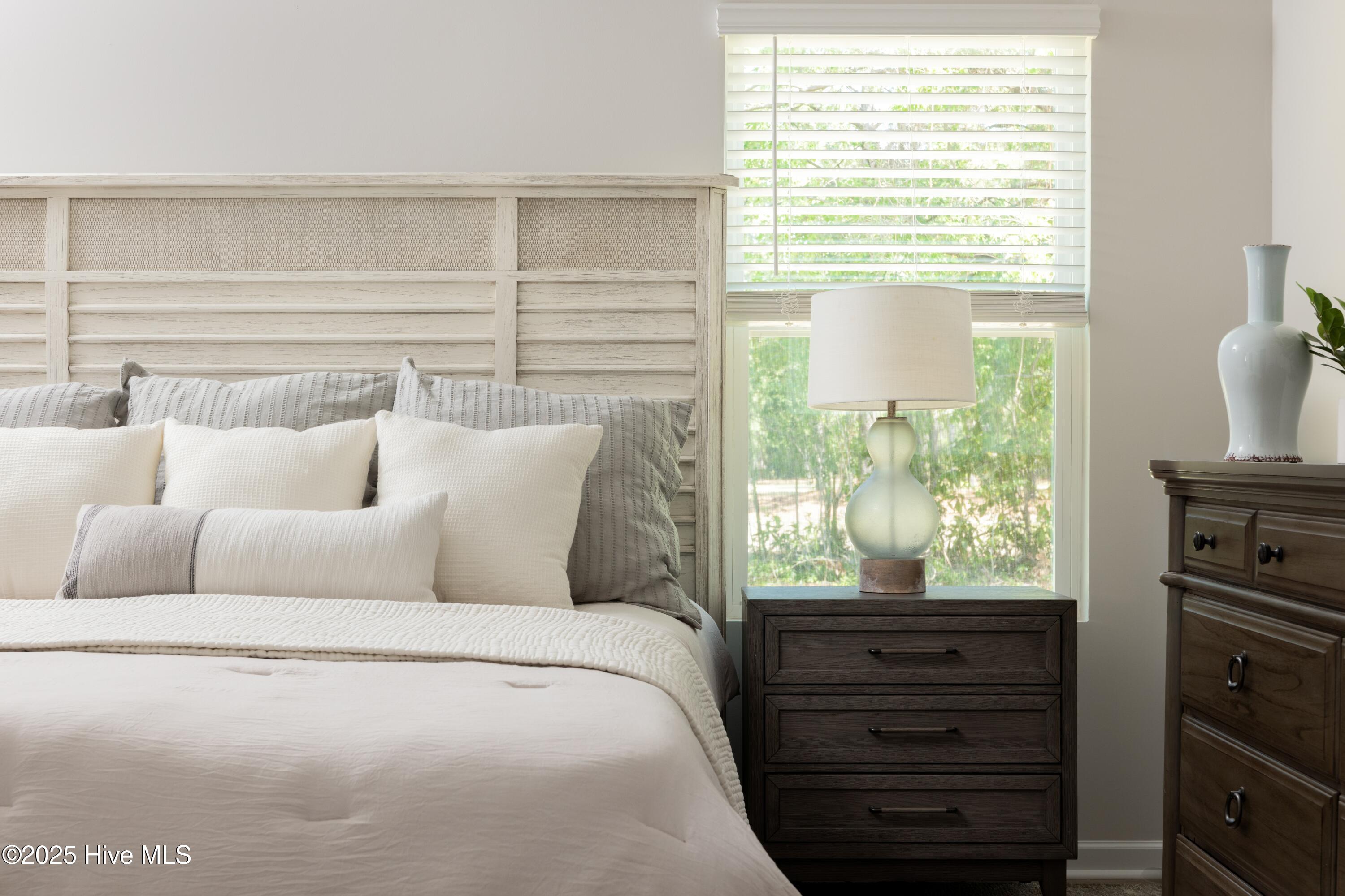 100524209 | Photo 17