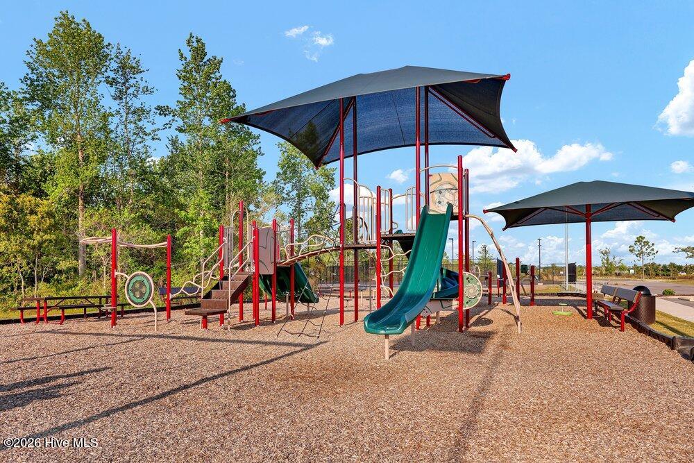 100568146 | Photo 39