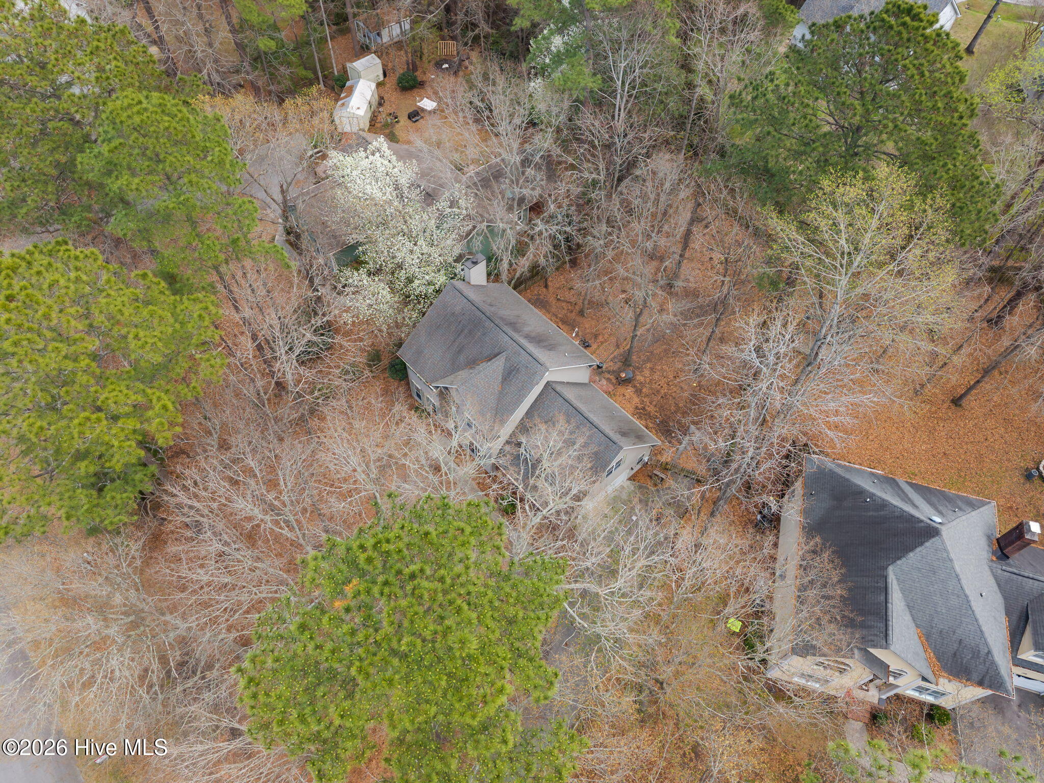 100557636 | Photo 39