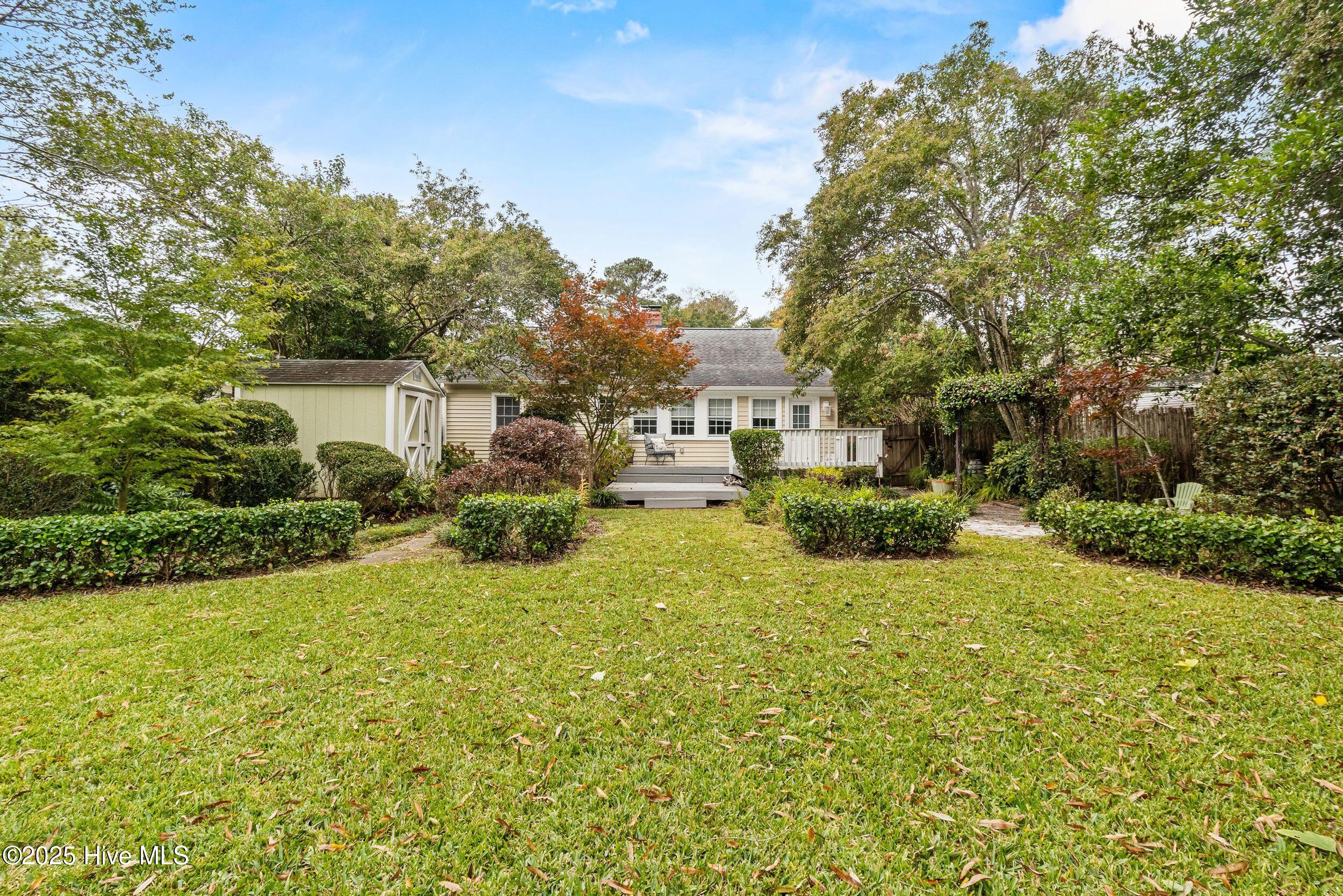 100538519 | Photo 30