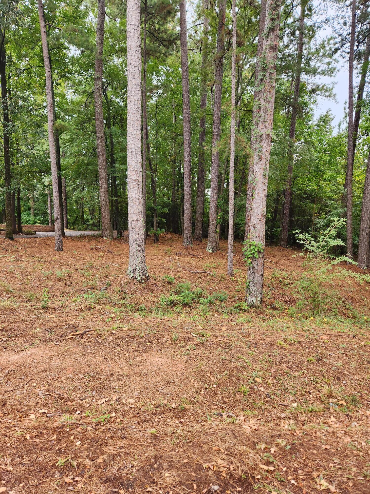 5160 Thoroughbred Way, Grovetown, GA, 30813