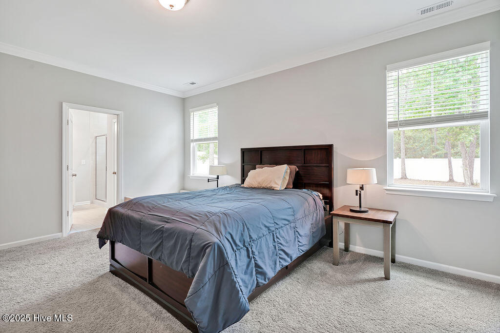 100563599 | Photo 18