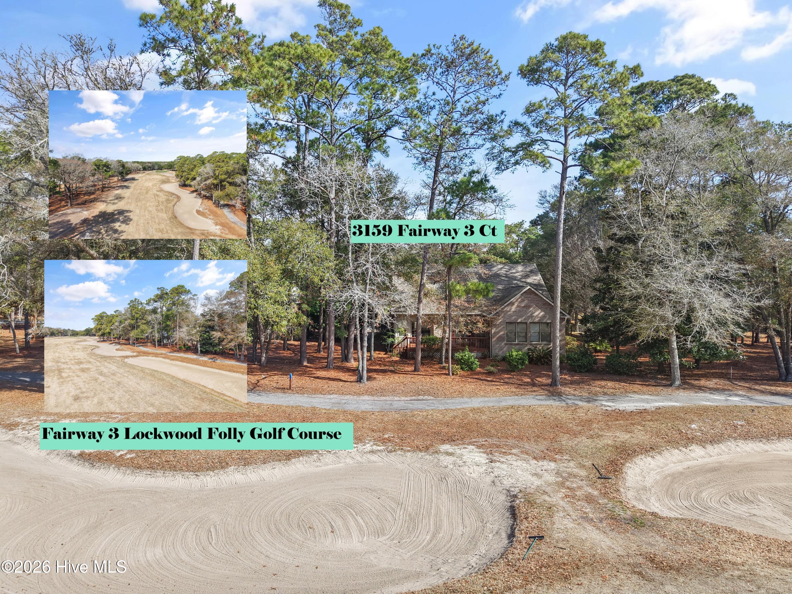 100558651 | Photo 43