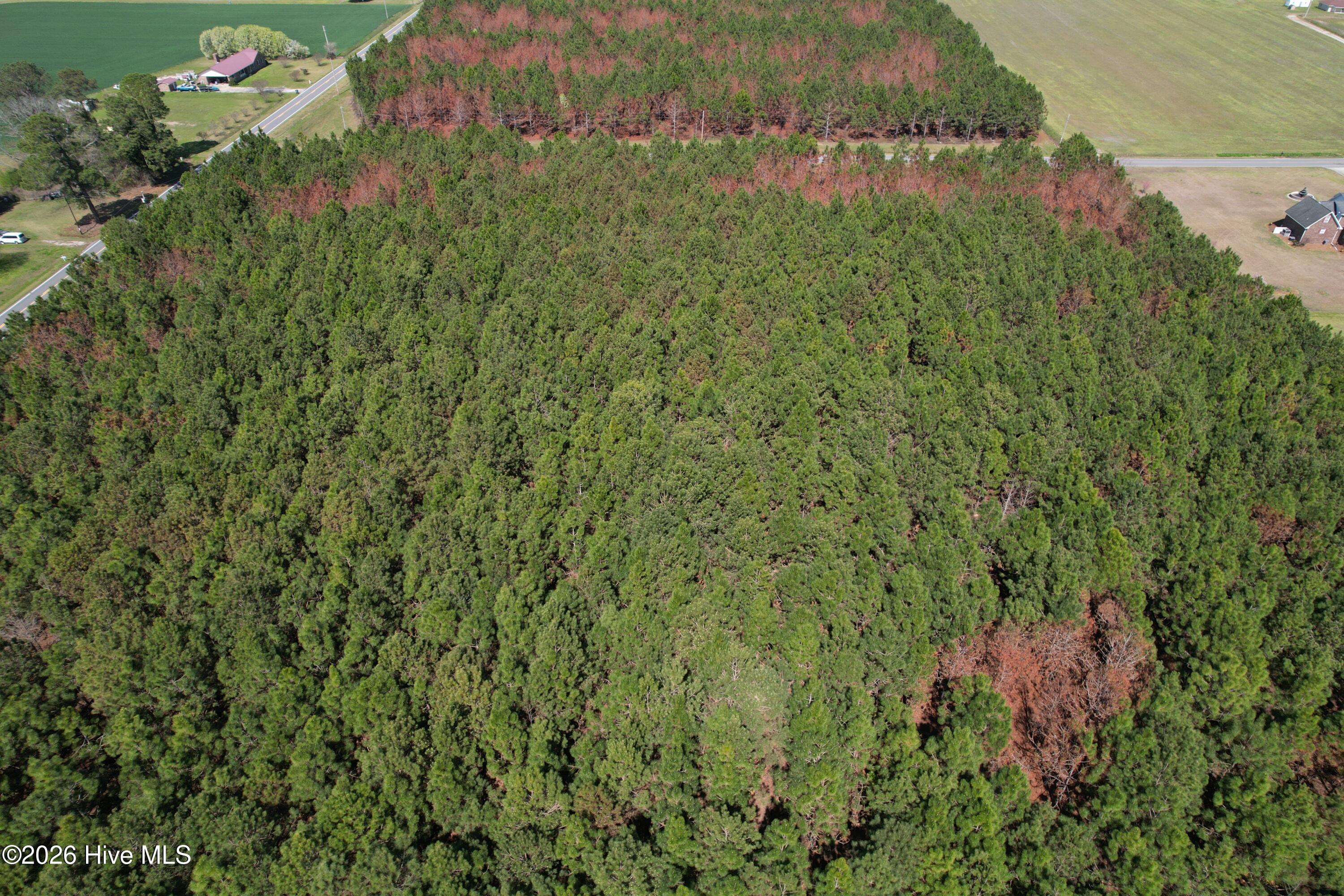 100560557 | Photo 12