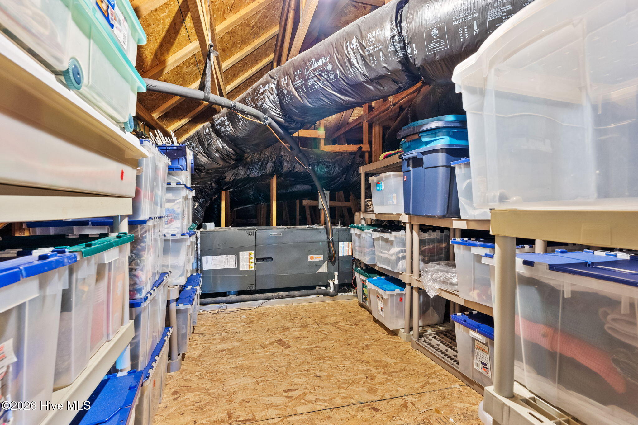 100566382 | Photo 44