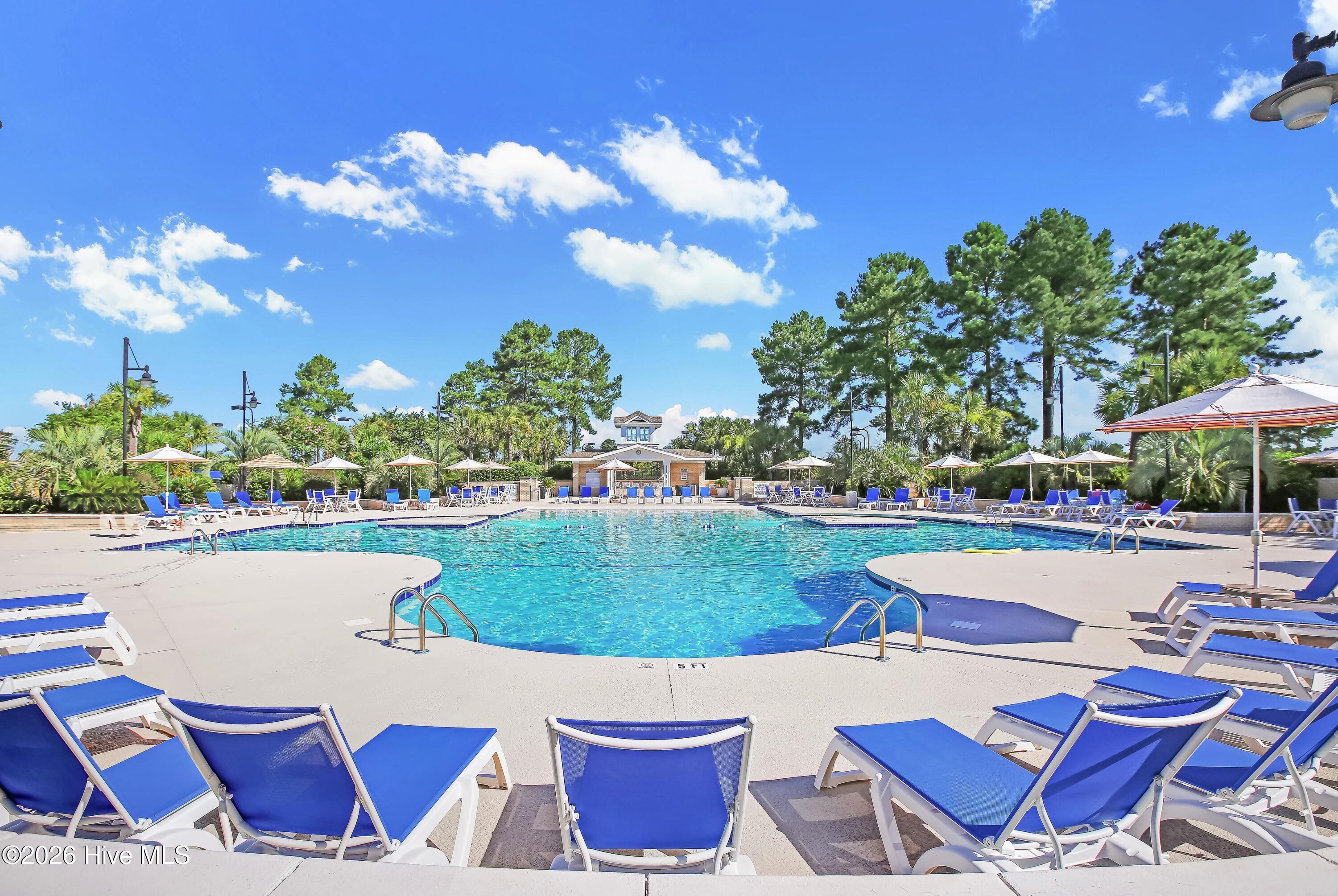 100554924 | Photo 43