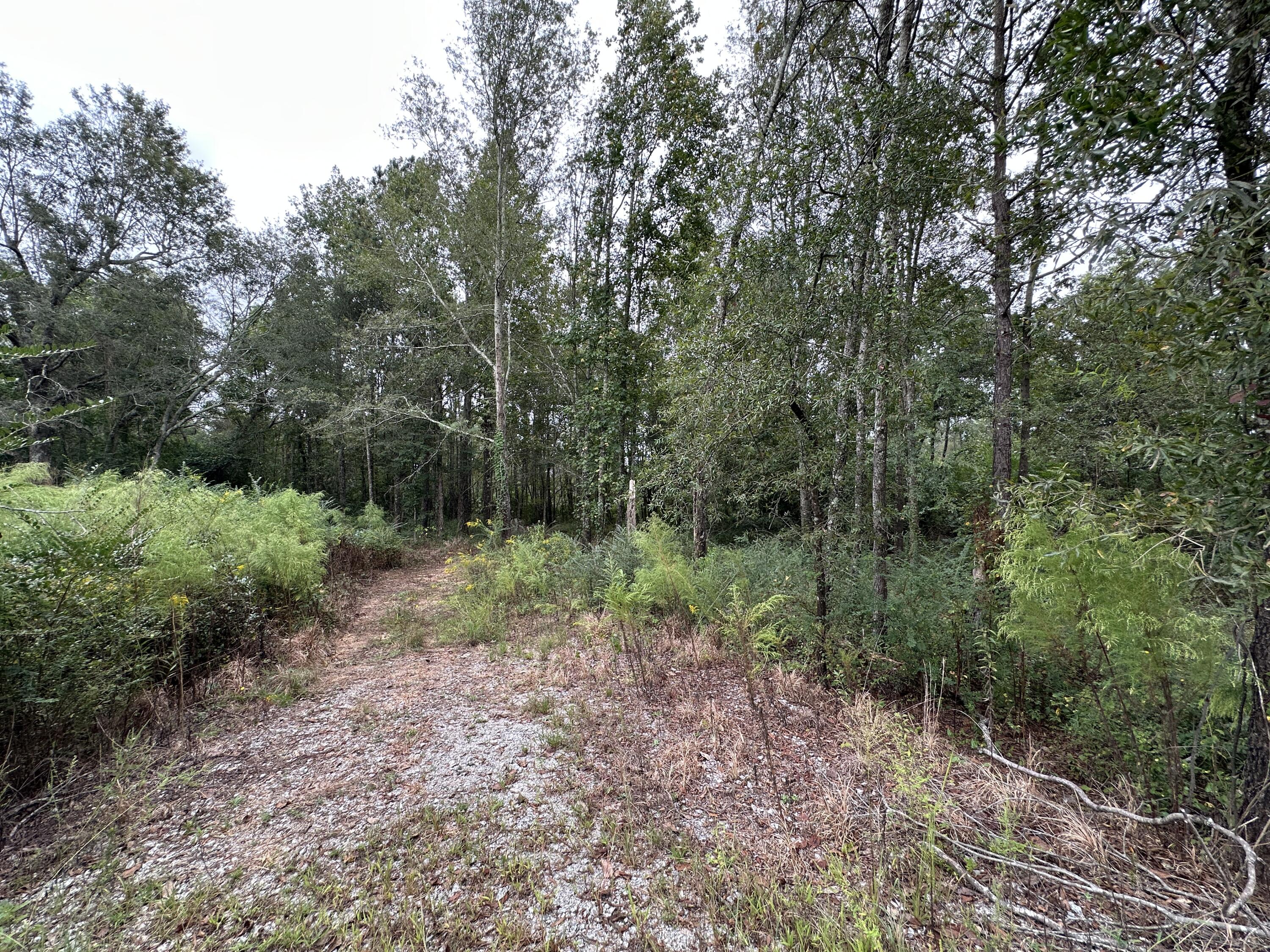 0F782D08-5A3C-4F5C-A995-40C4AFA542AB