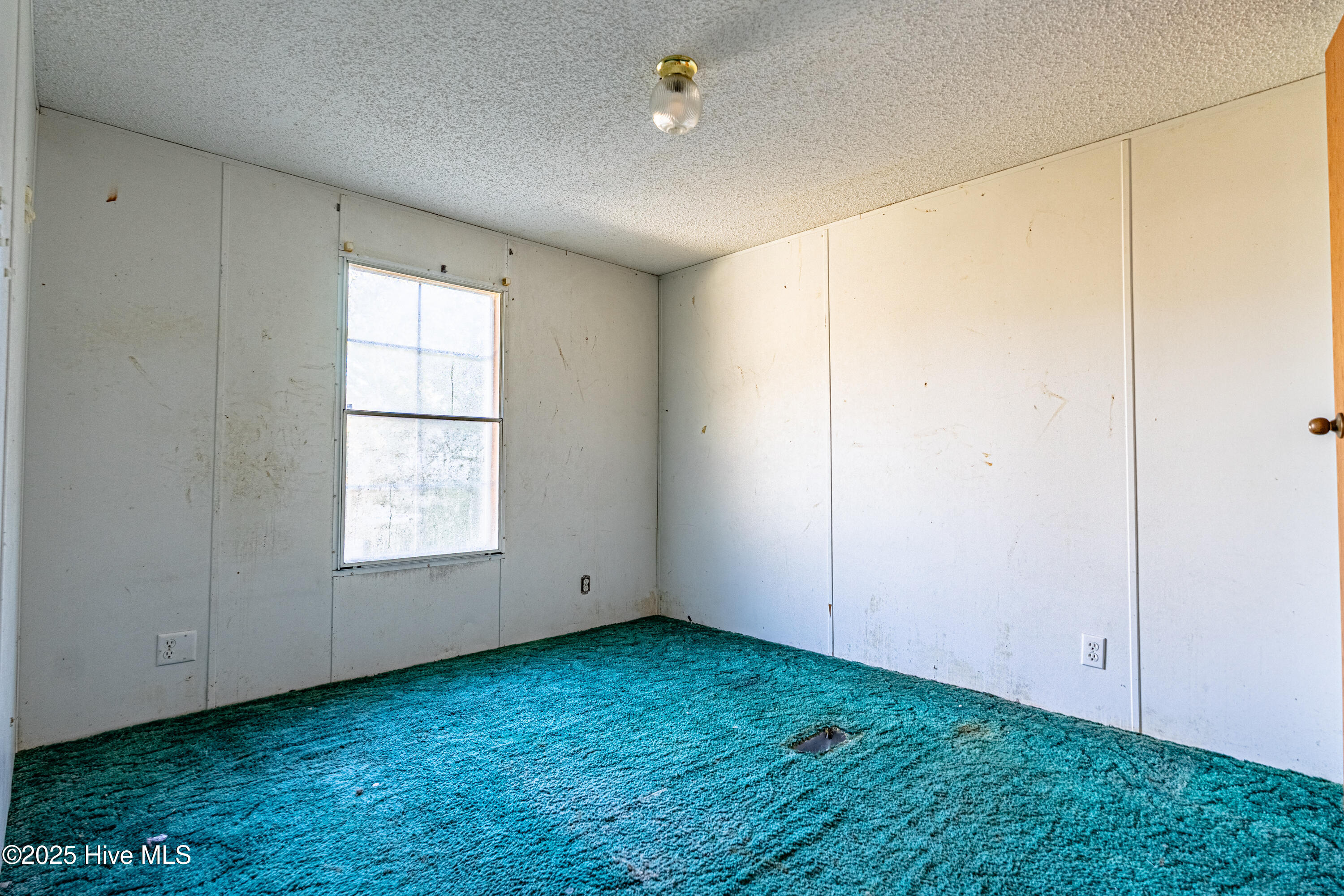 100545698 | Photo 11