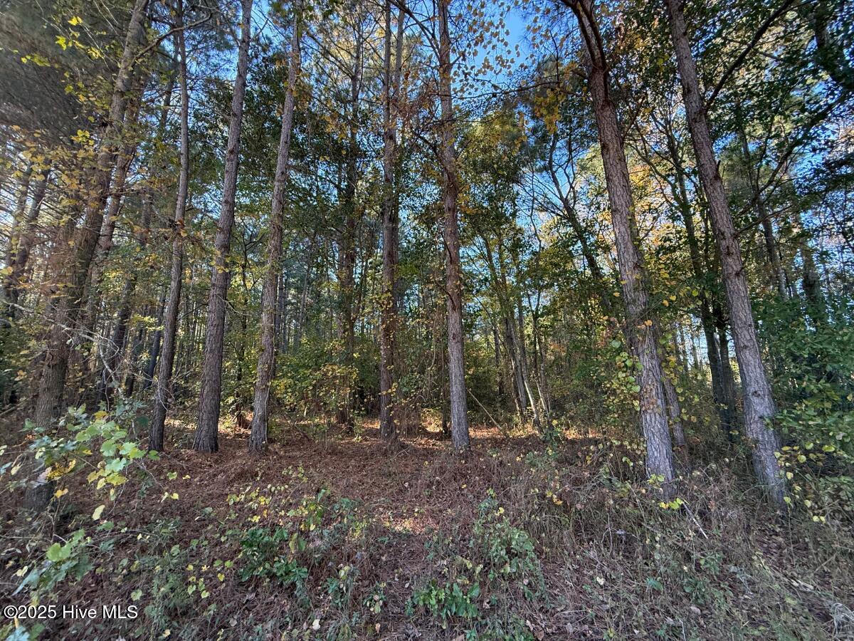 100540348 | Photo 33