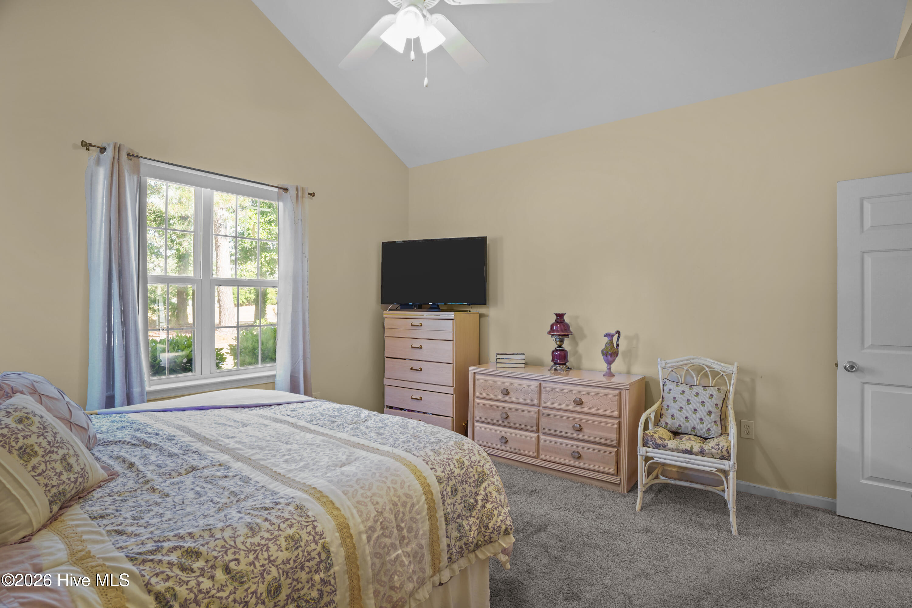 100570621 | Photo 19