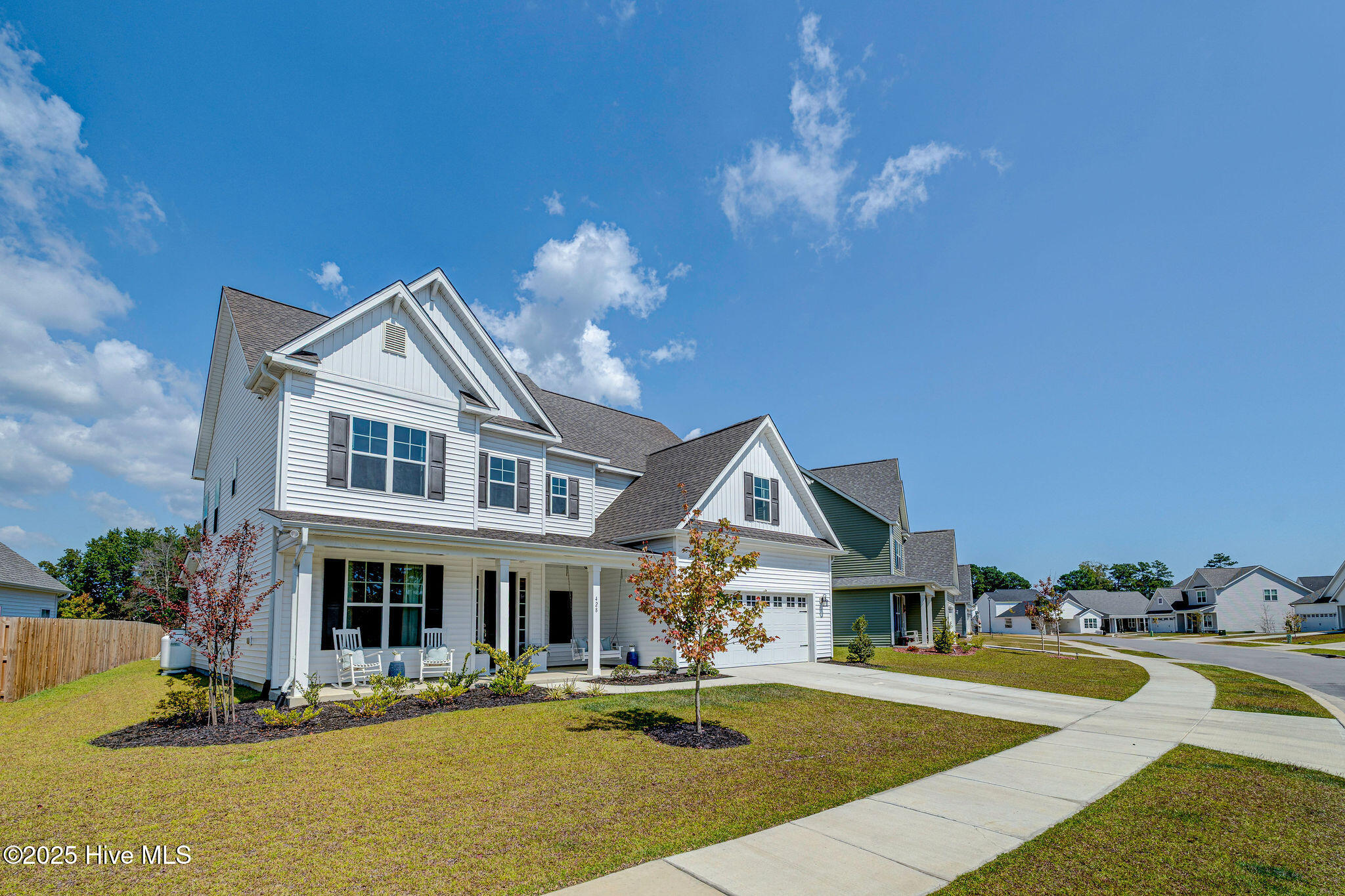 428NorthernPintailFinal-4