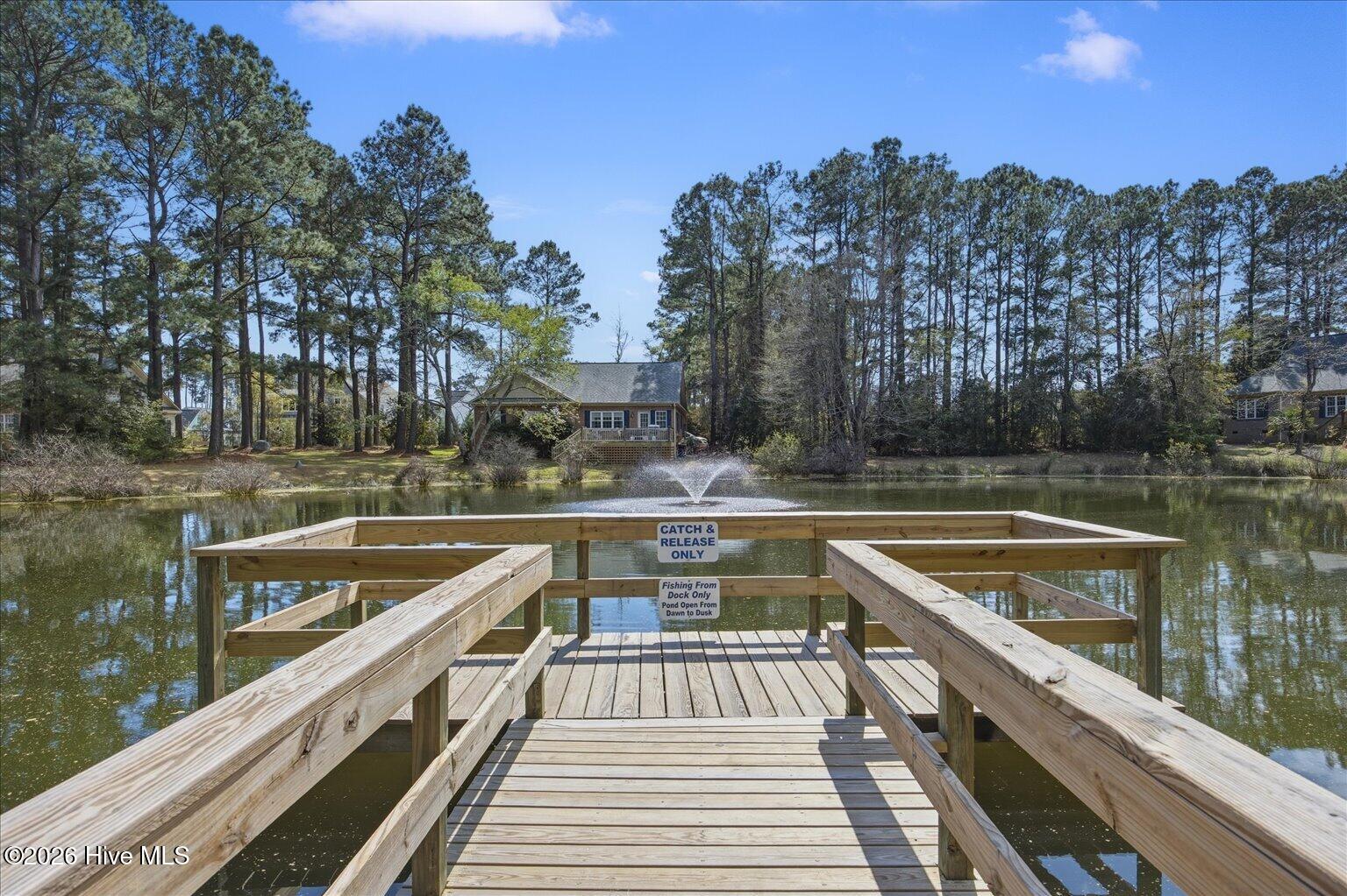 100564085 | Photo 50