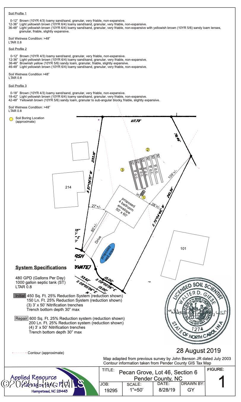 100552734 | Photo 12