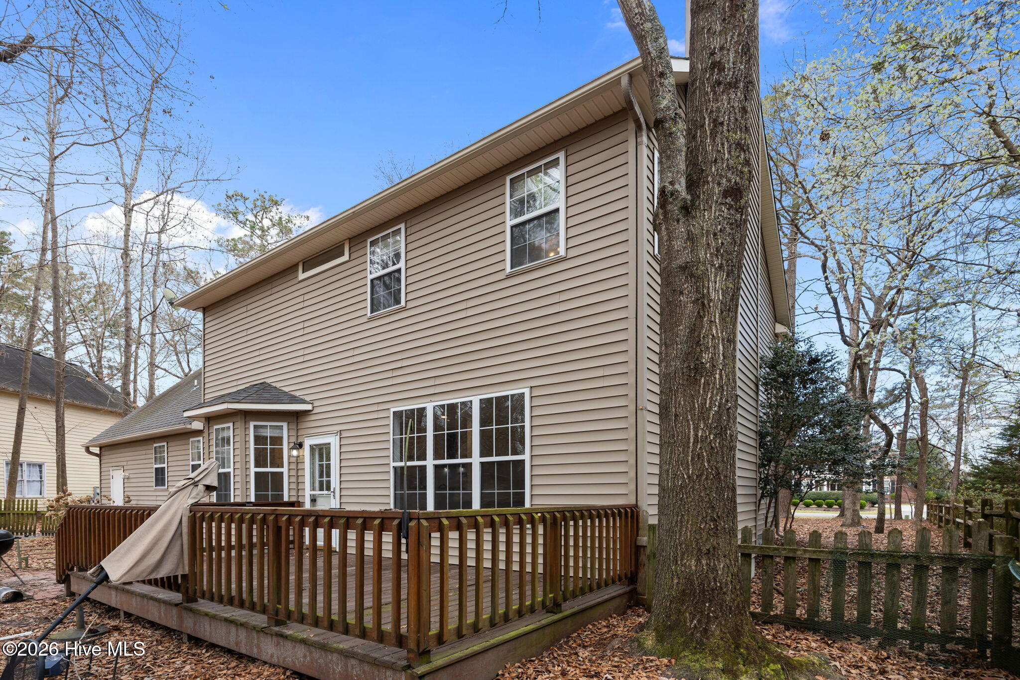 100557636 | Photo 18