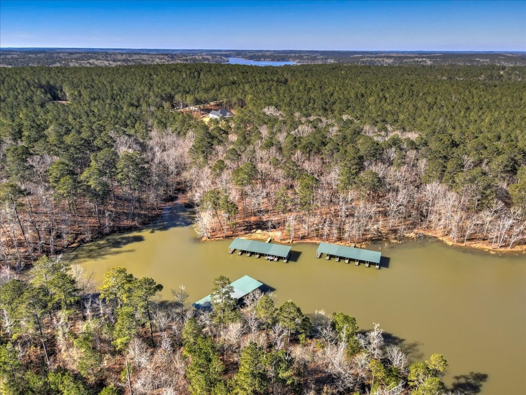 1076 Providence Ferry Road, Lincolnton, GA 30817 Listing Photo  7