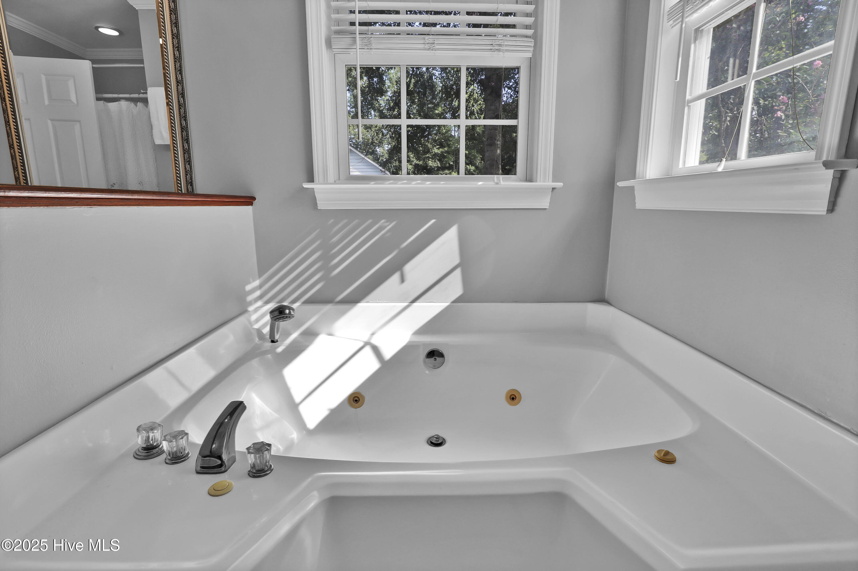 100525389 | Photo 25