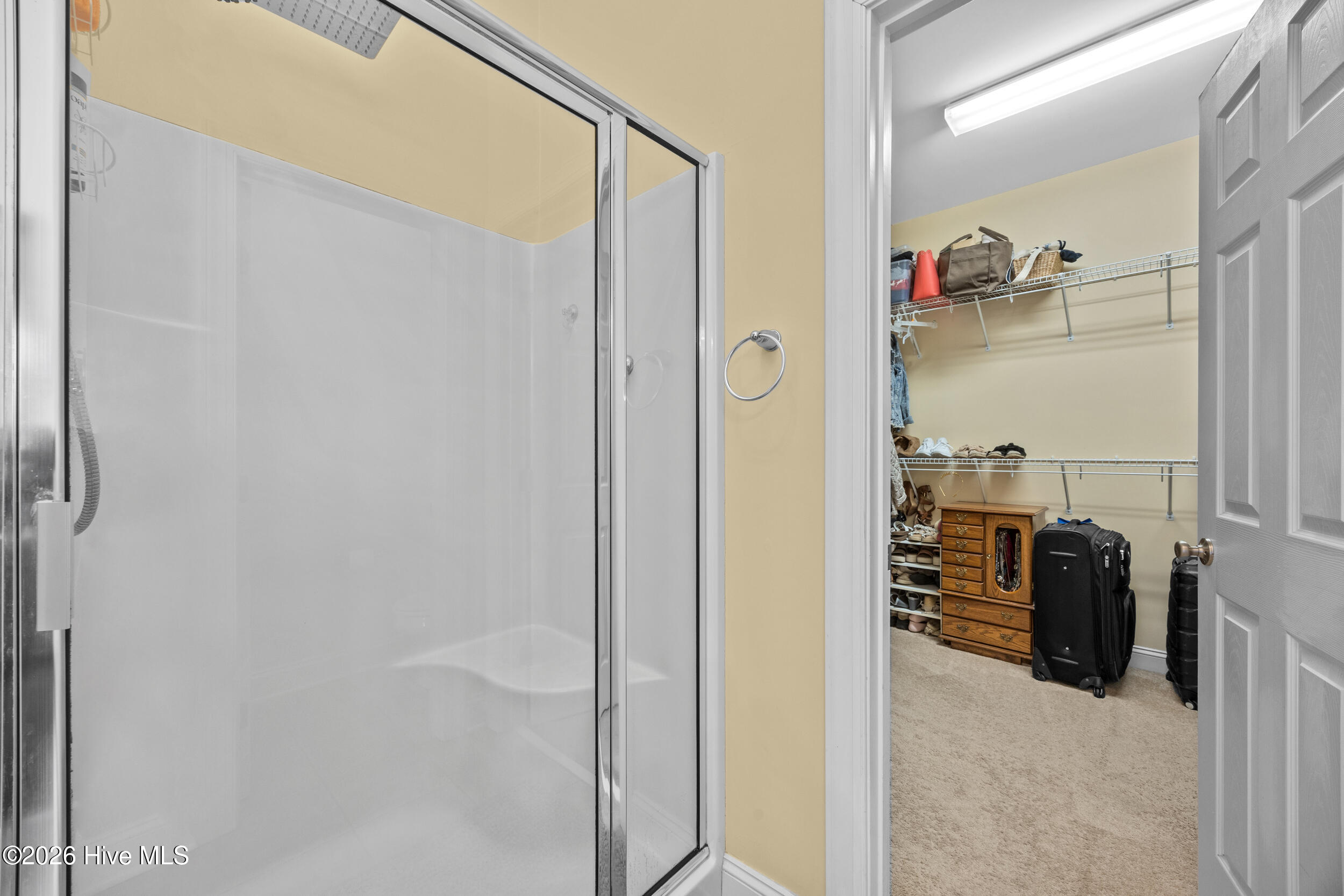 100550325 | Photo 41