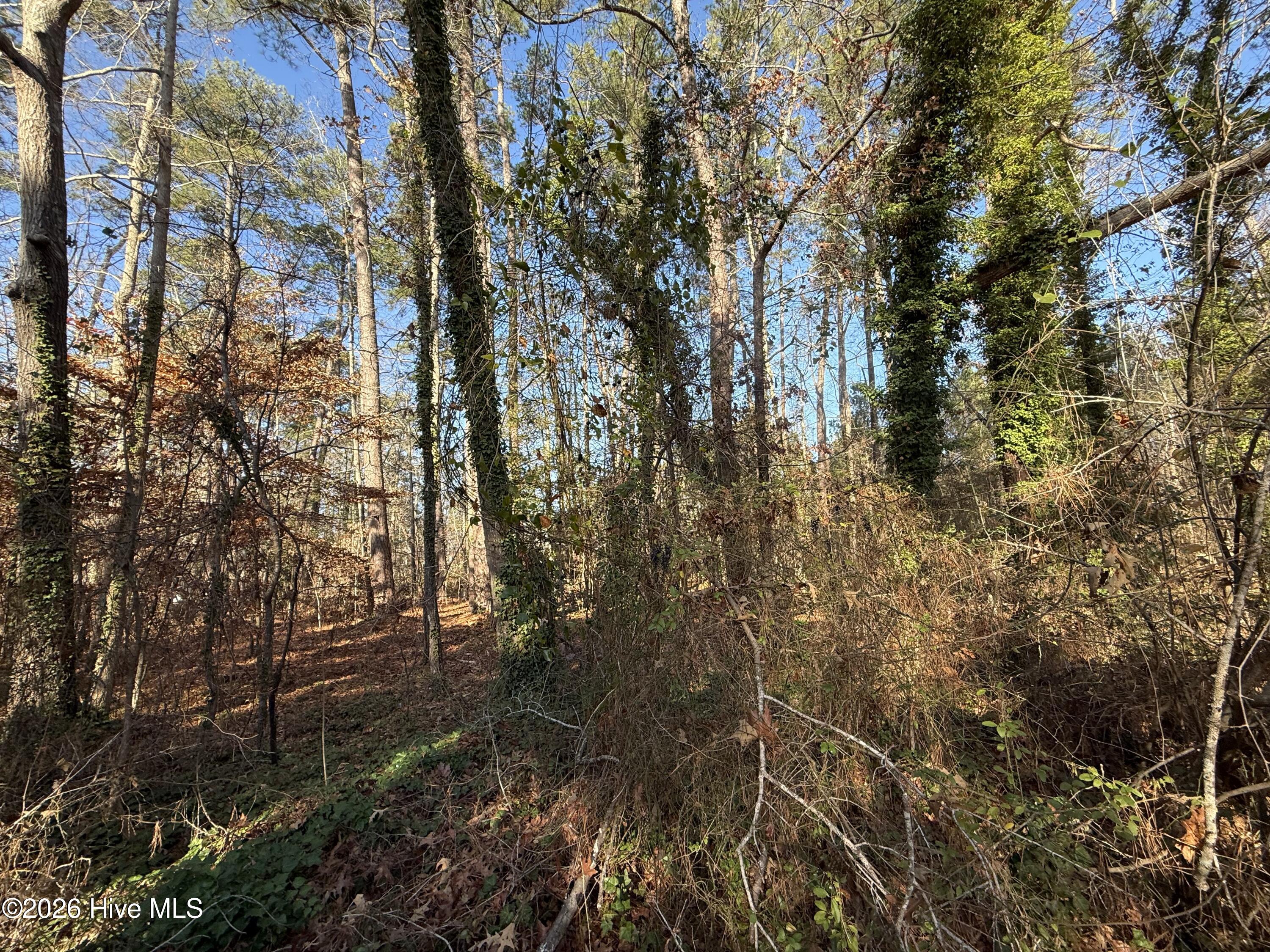 Homes for sale in Williamston, NC | 0 Alexander Ln, Williamston, NC 27892 | MLS# 100551156