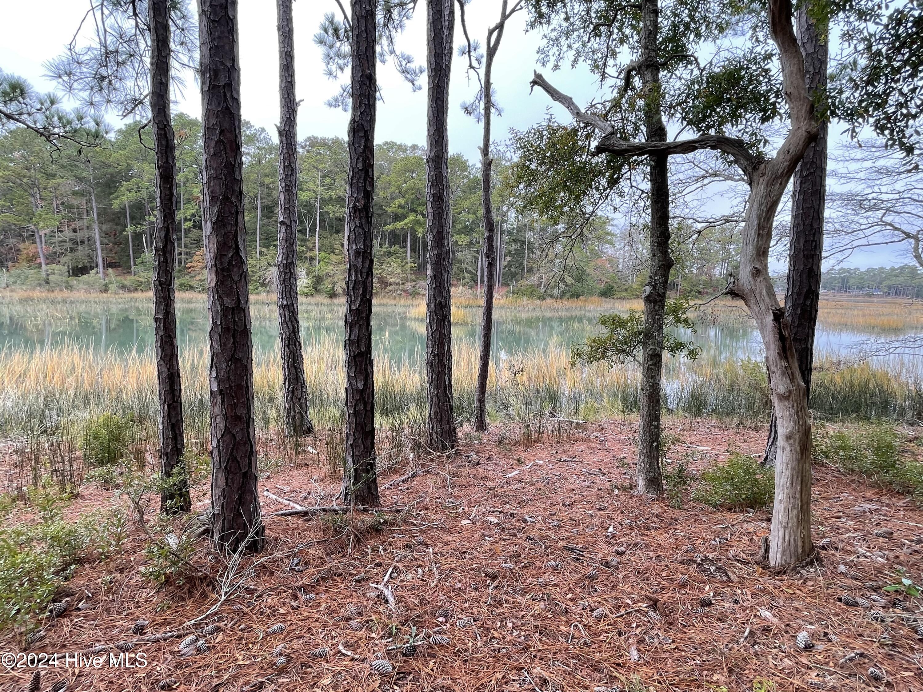 100481360 | Photo 26