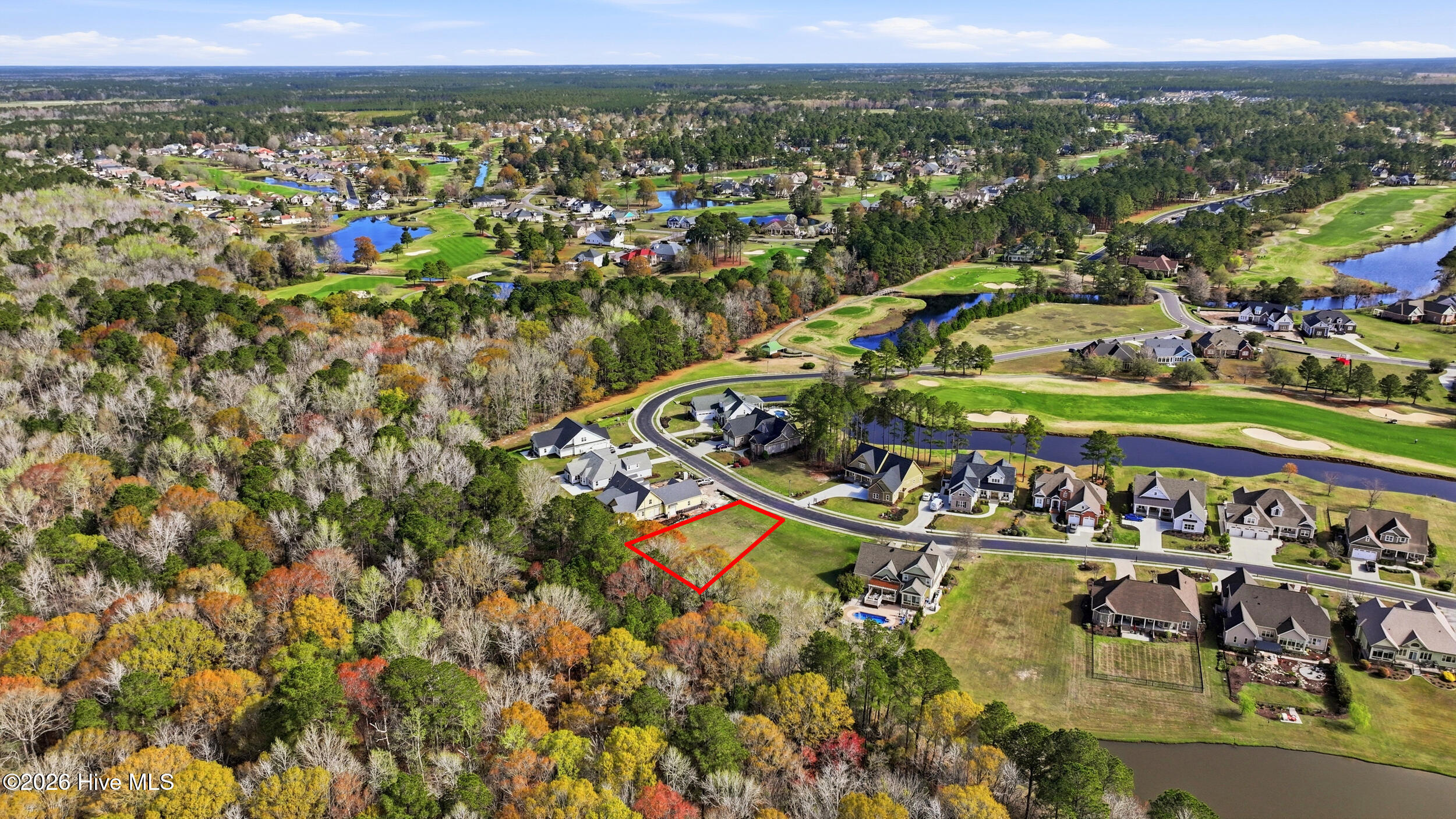 100560627 | Photo 16