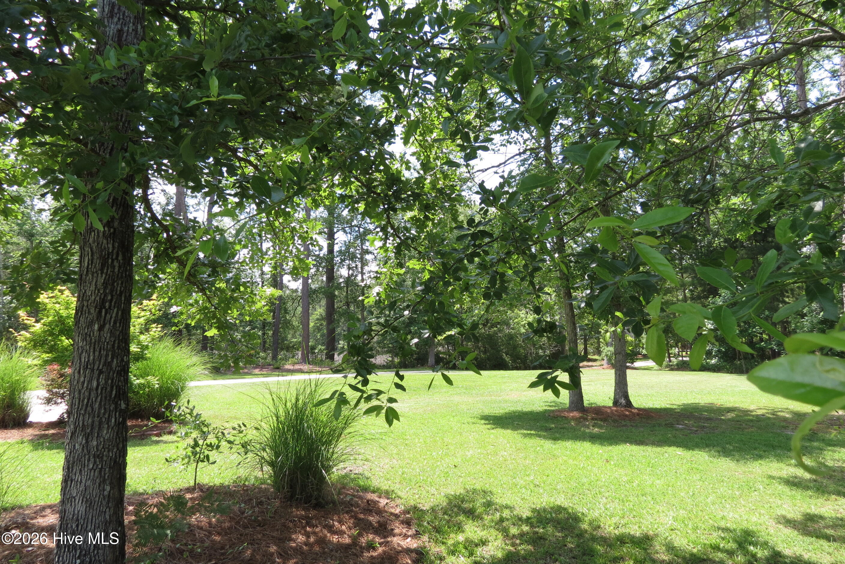 368 Winding Creek Drive,Oriental
