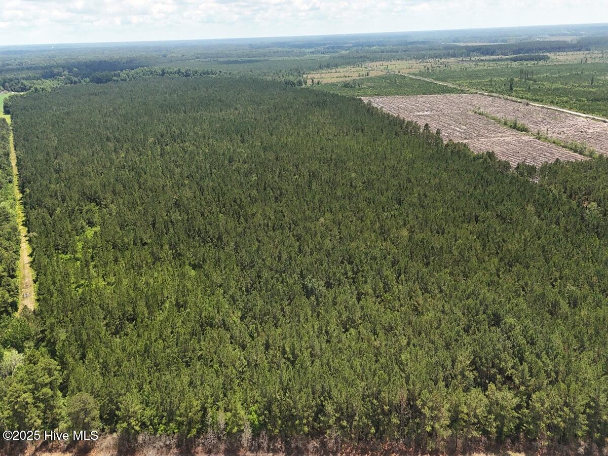 100513588 | Photo 15