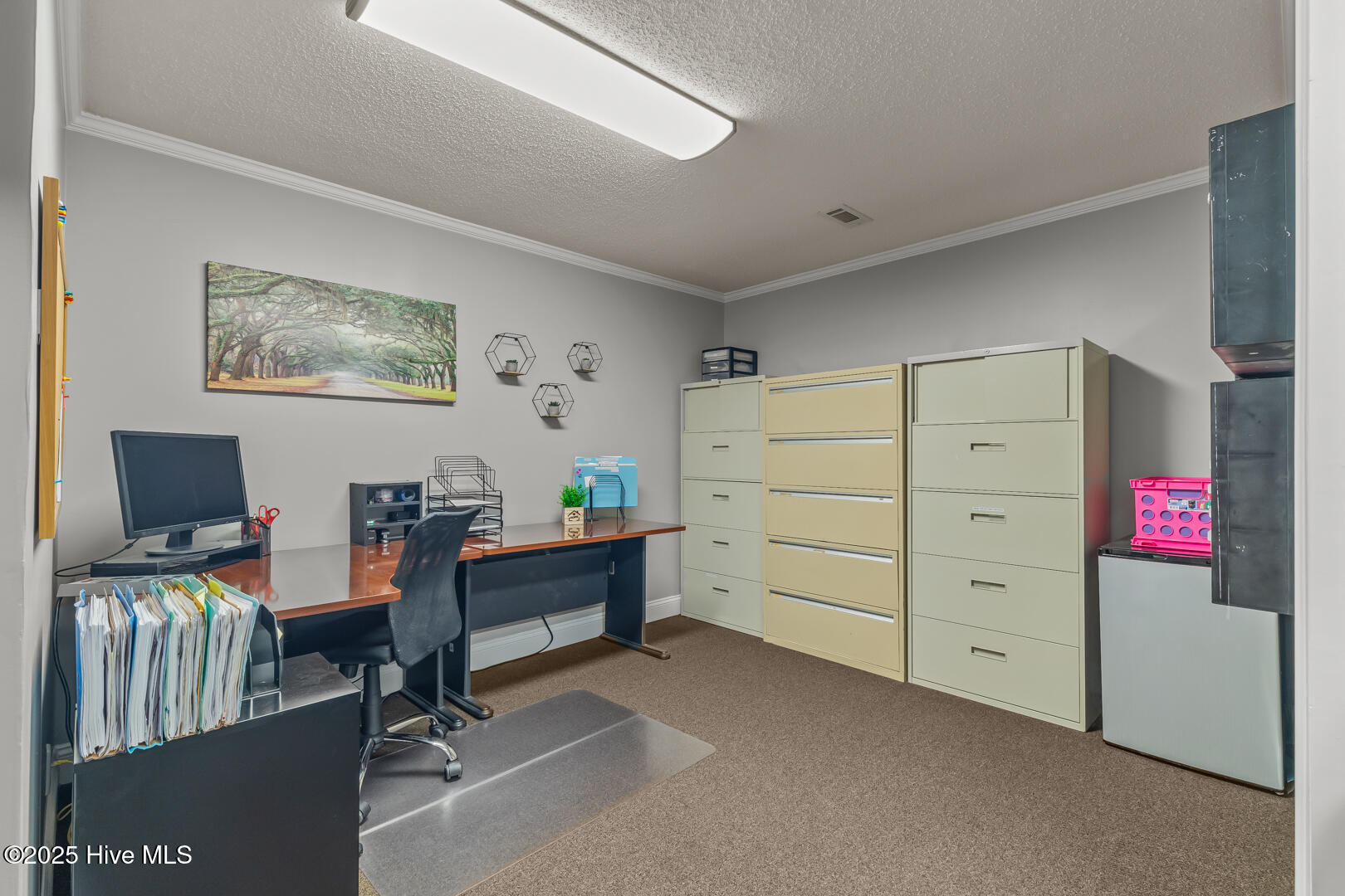 1923 Lejeune Boulevard, Jacksonville, NC, 28546