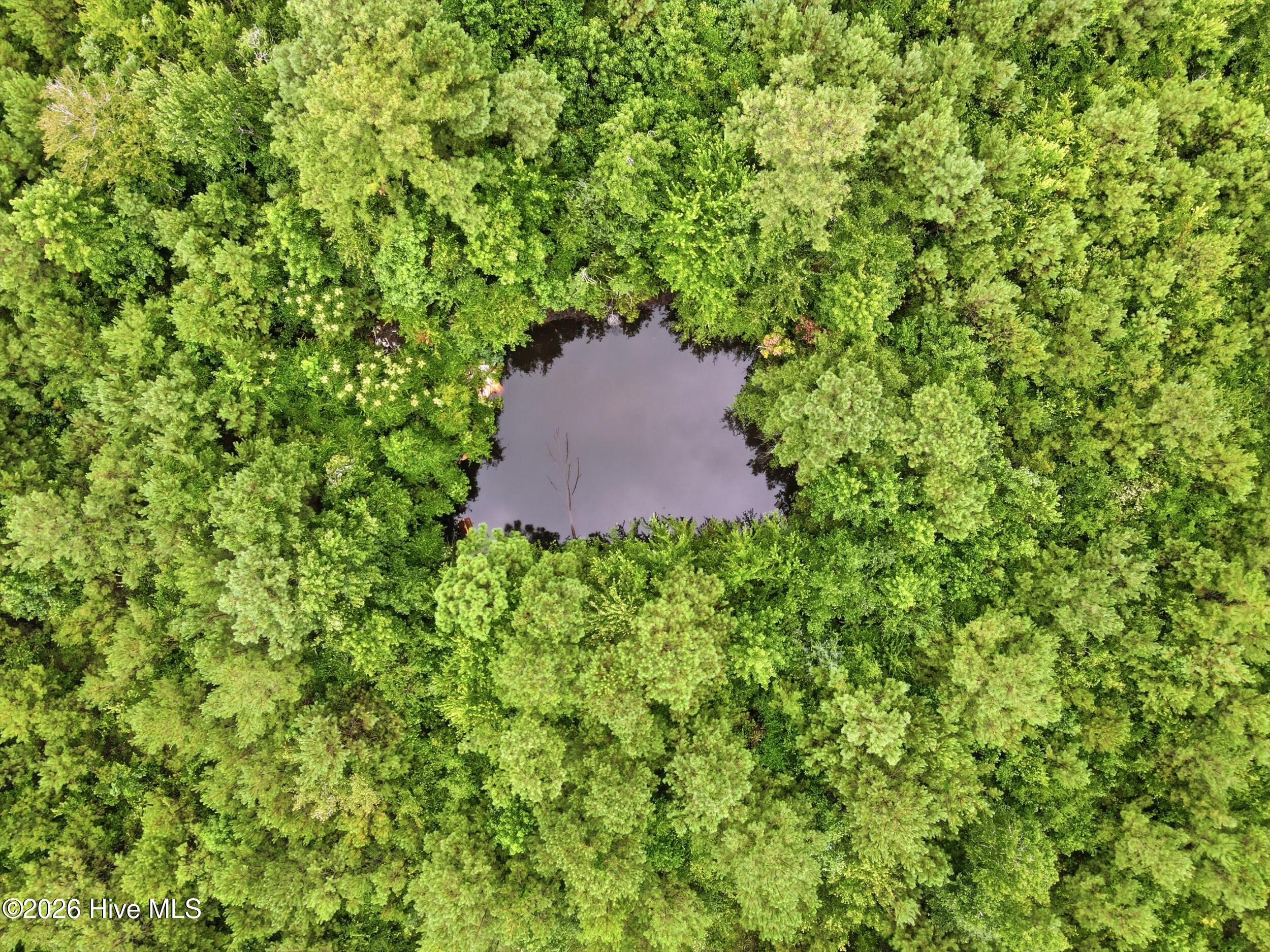 305 Tropical Trail,Beaufort