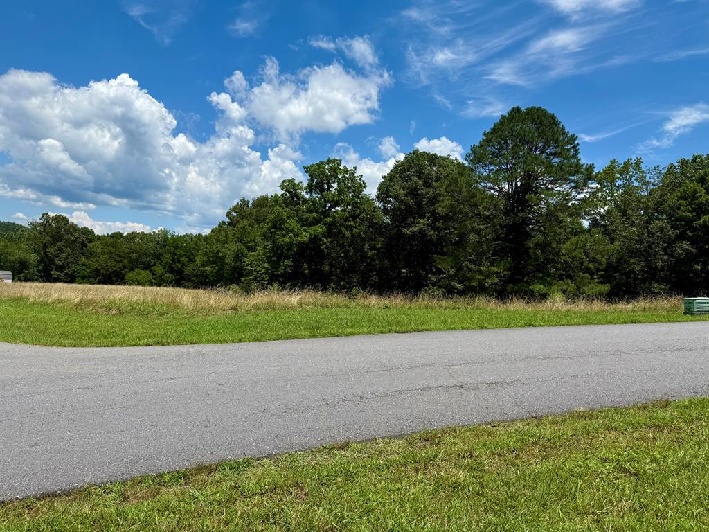 0 Dewey, Murphy, North Carolina, 0 ,For sale,Dewey,98524731