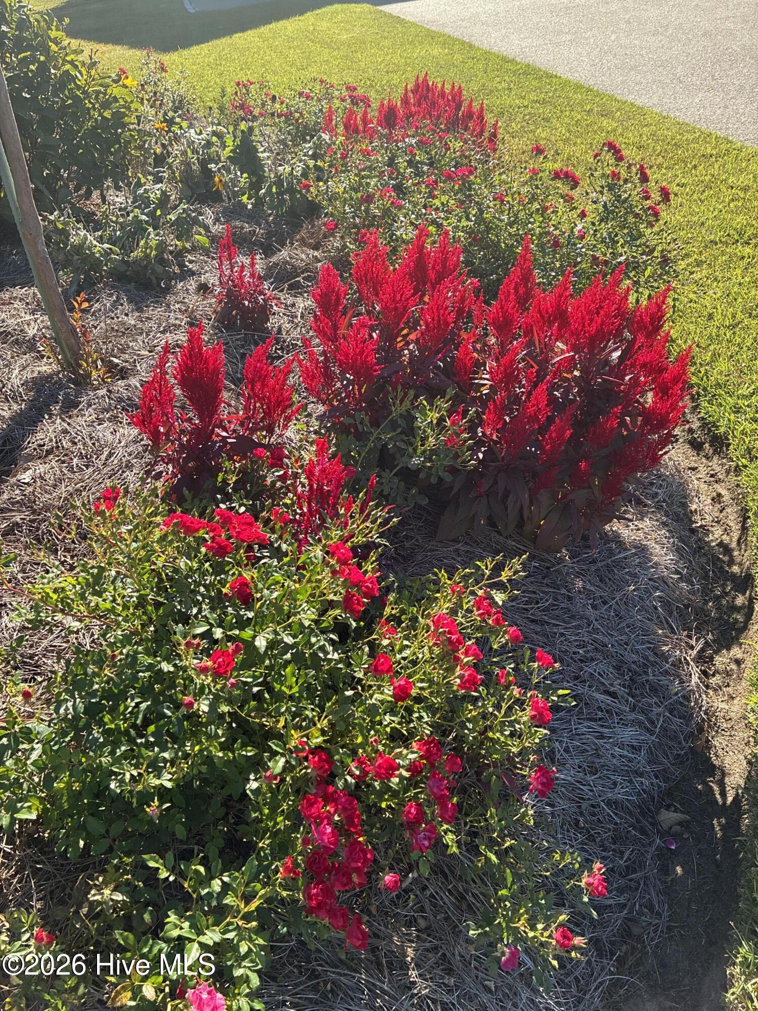 100560288 | Photo 80