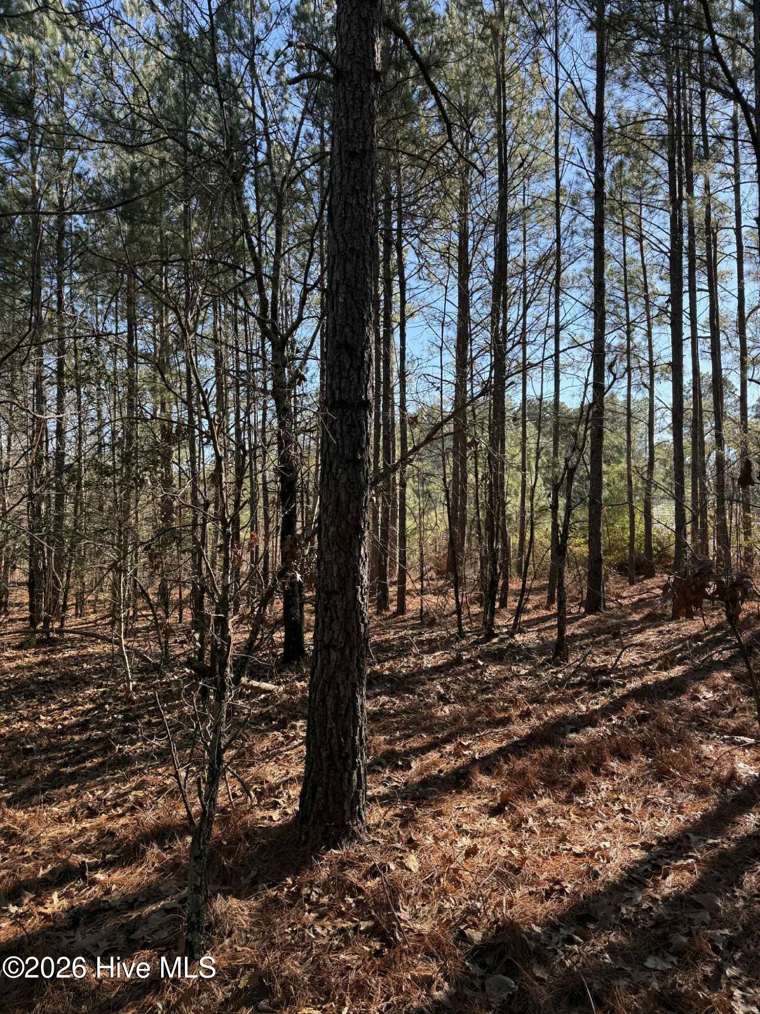 att.3xC0RXjQZWpLWo4wdoRx6Kv8tk31Cyahut08