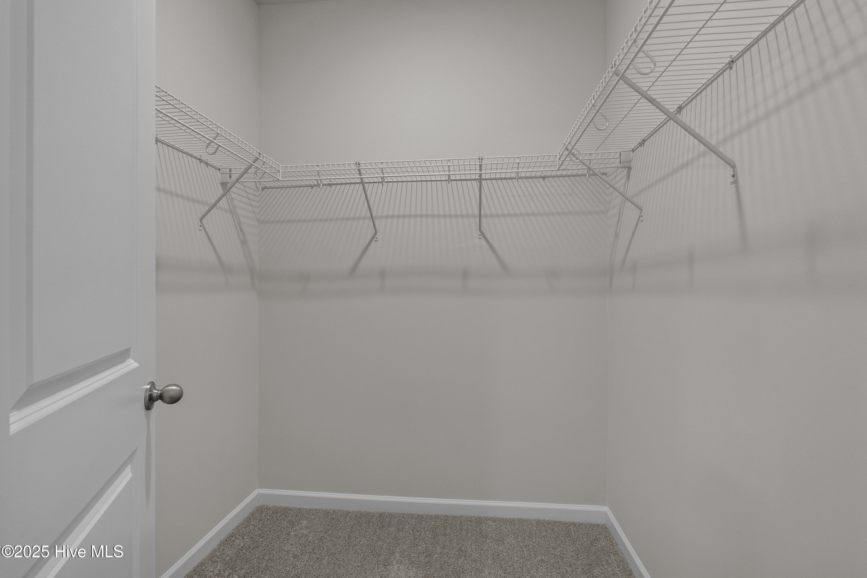 100536973 | Photo 22