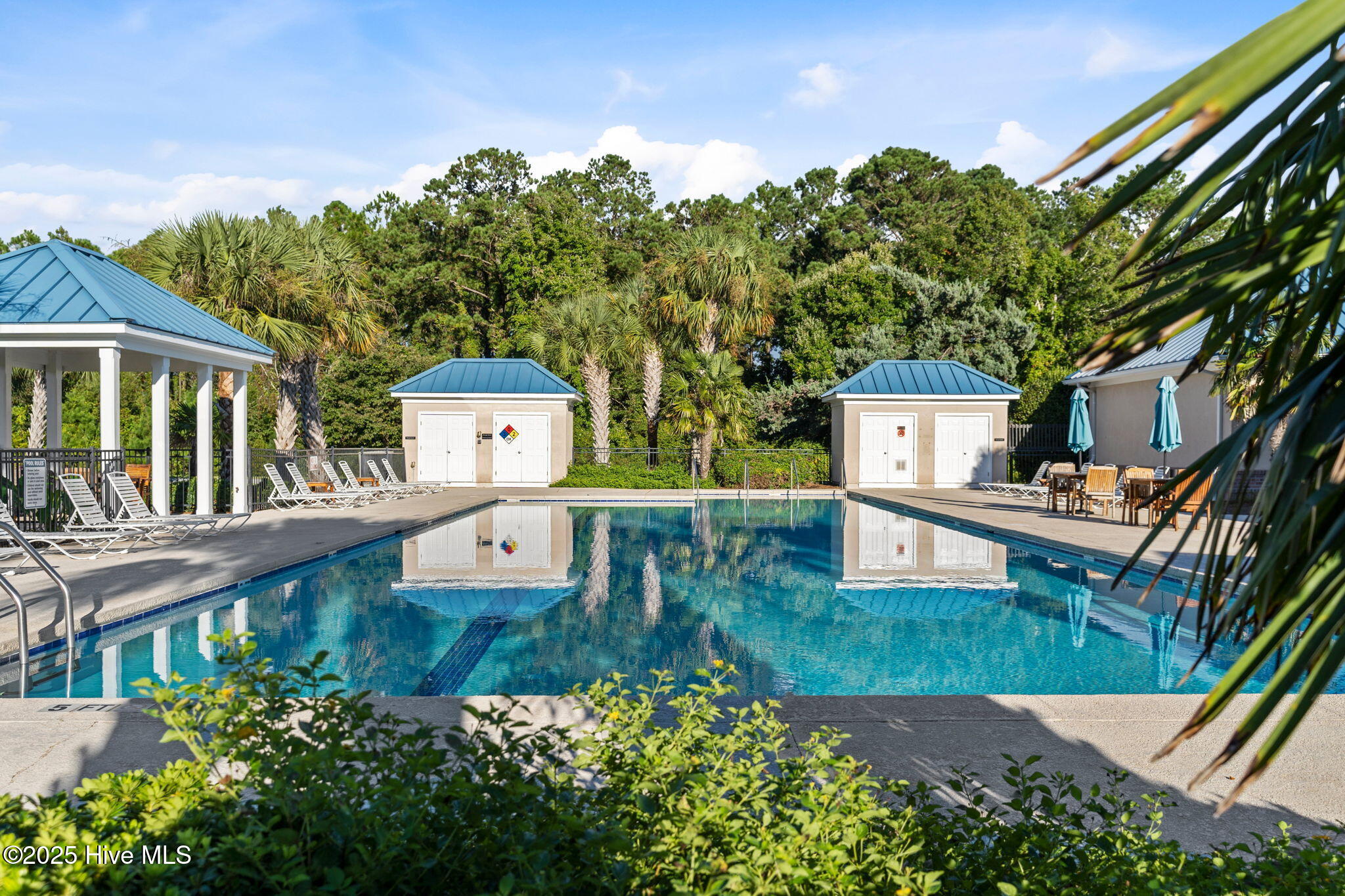 100535787 | Photo 60