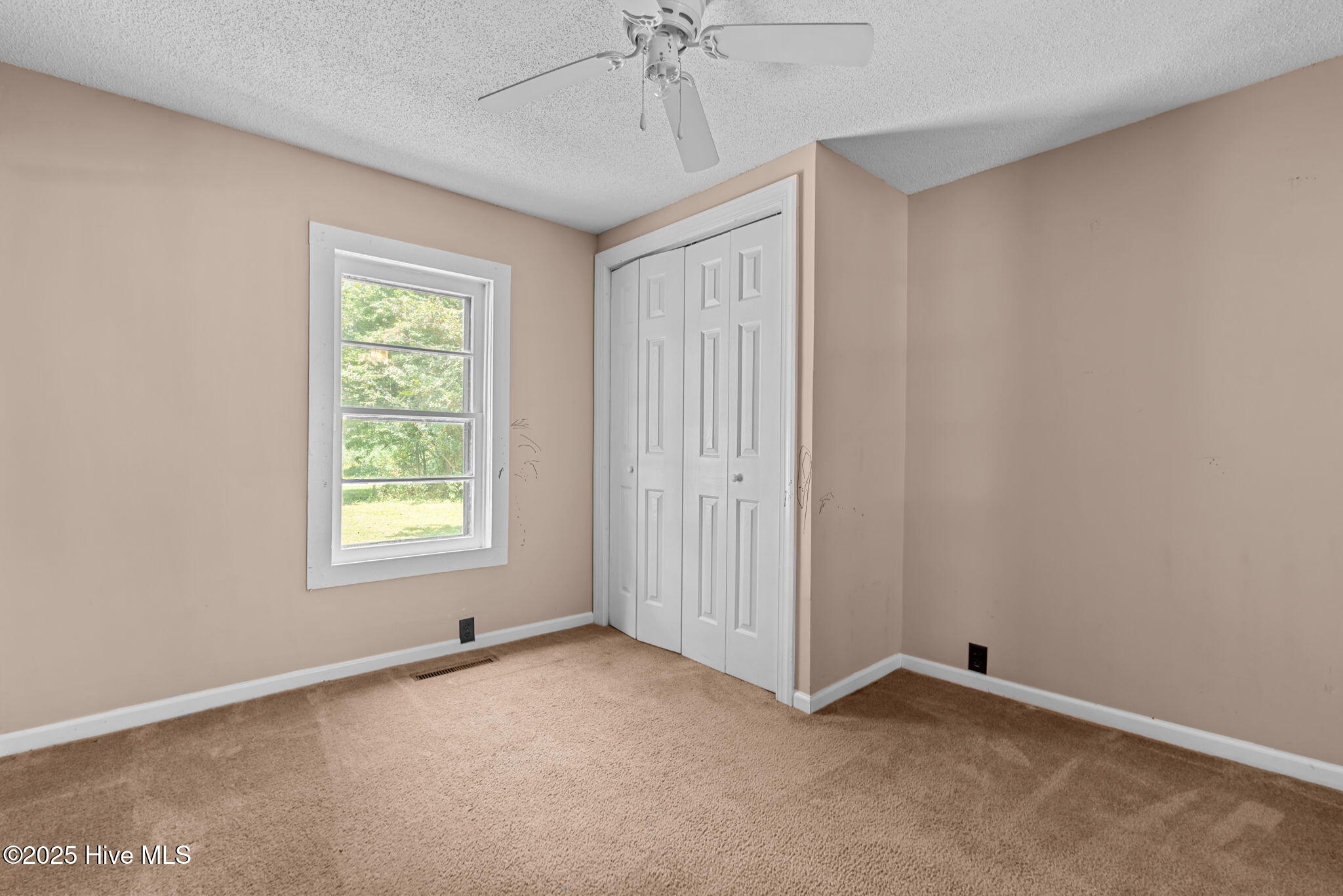 100529357 | Photo 10