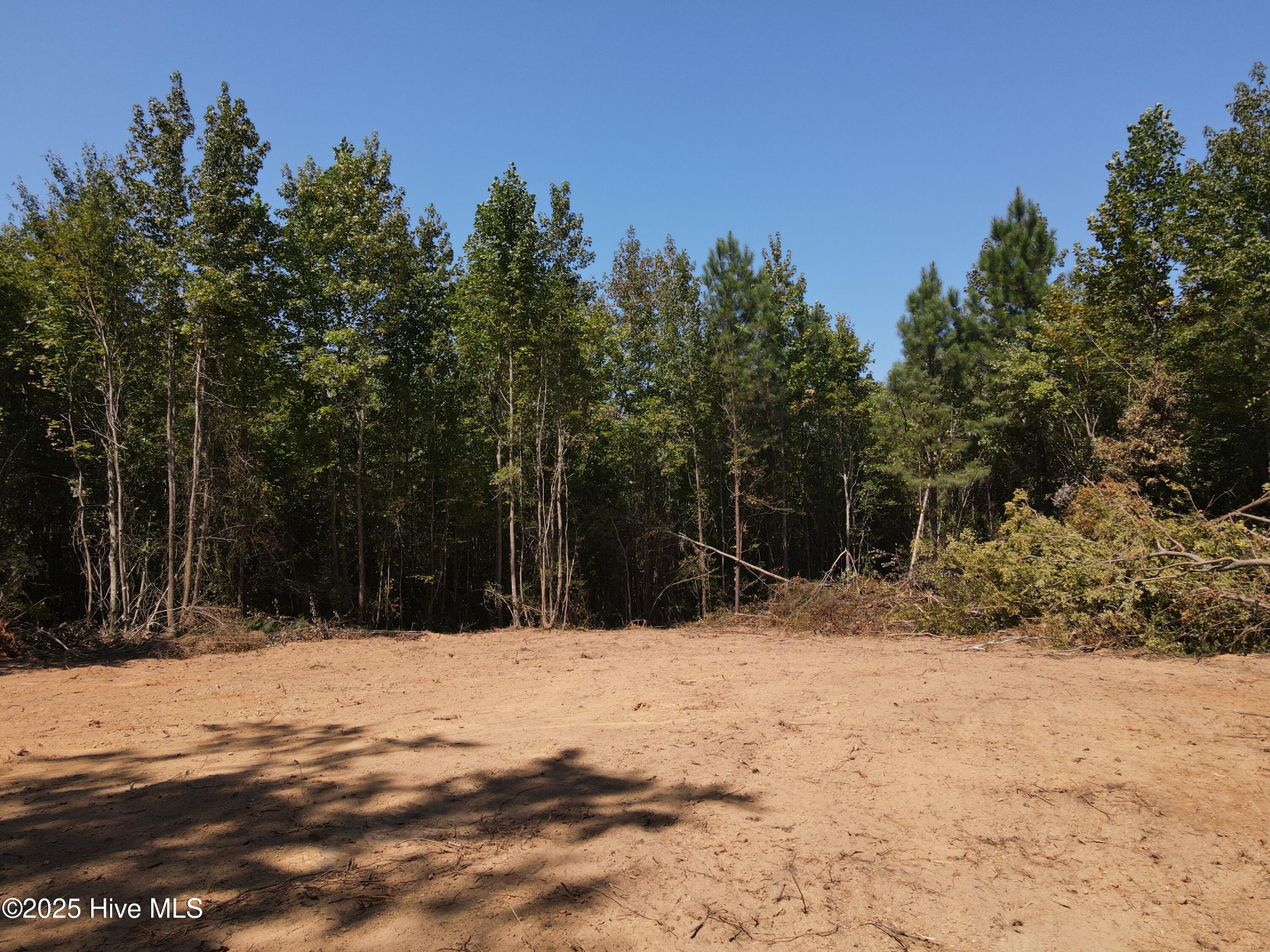 5th image of 00 Alert Rd, Louisburg, NC 27549 | MLS# 100598662