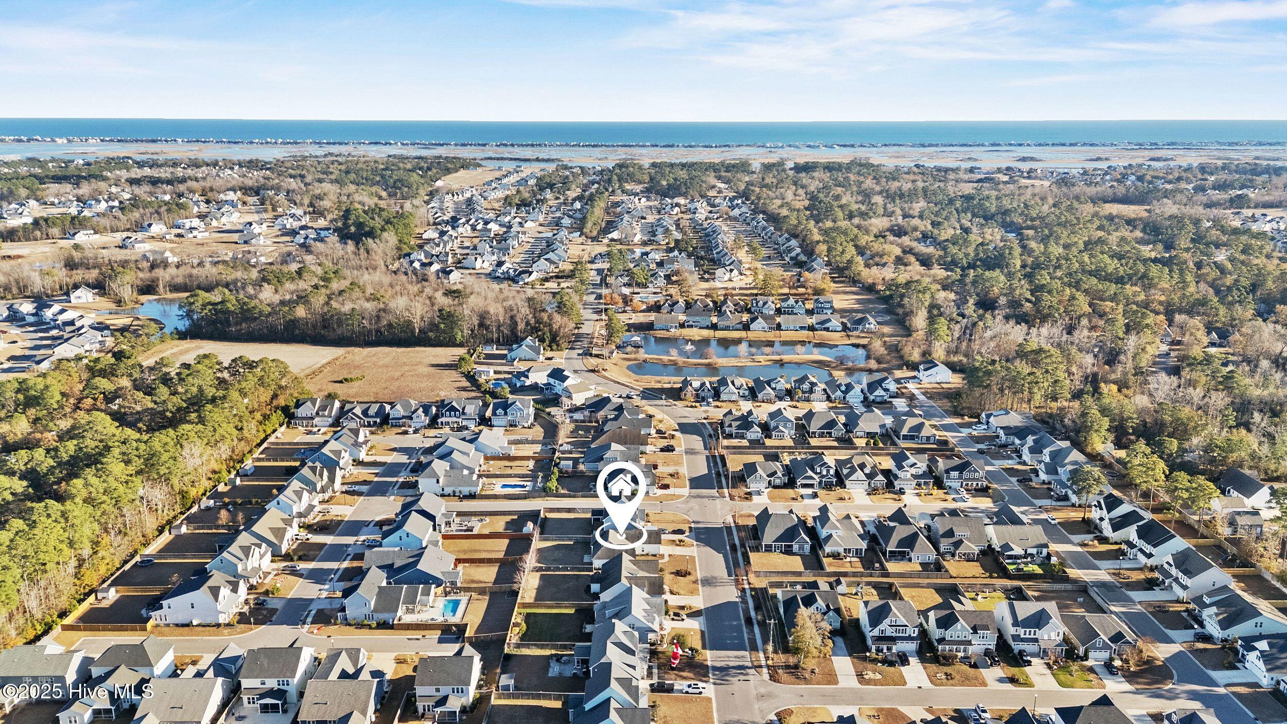 100545820 | Photo 40