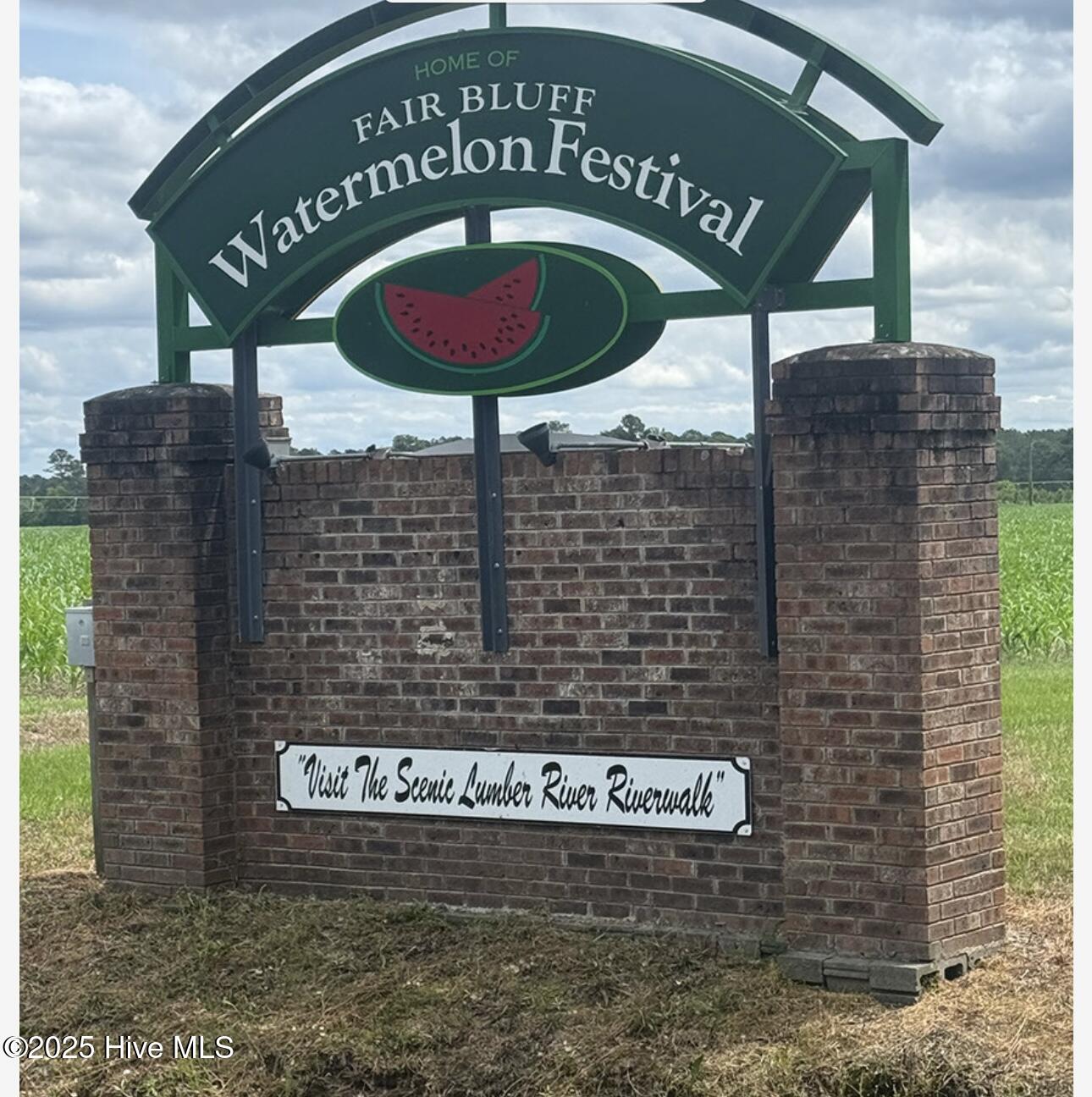 Homes for sale in Fair Bluff, NC | 109 Conway Rd, Fair Bluff, NC 28439 | MLS# 100516428